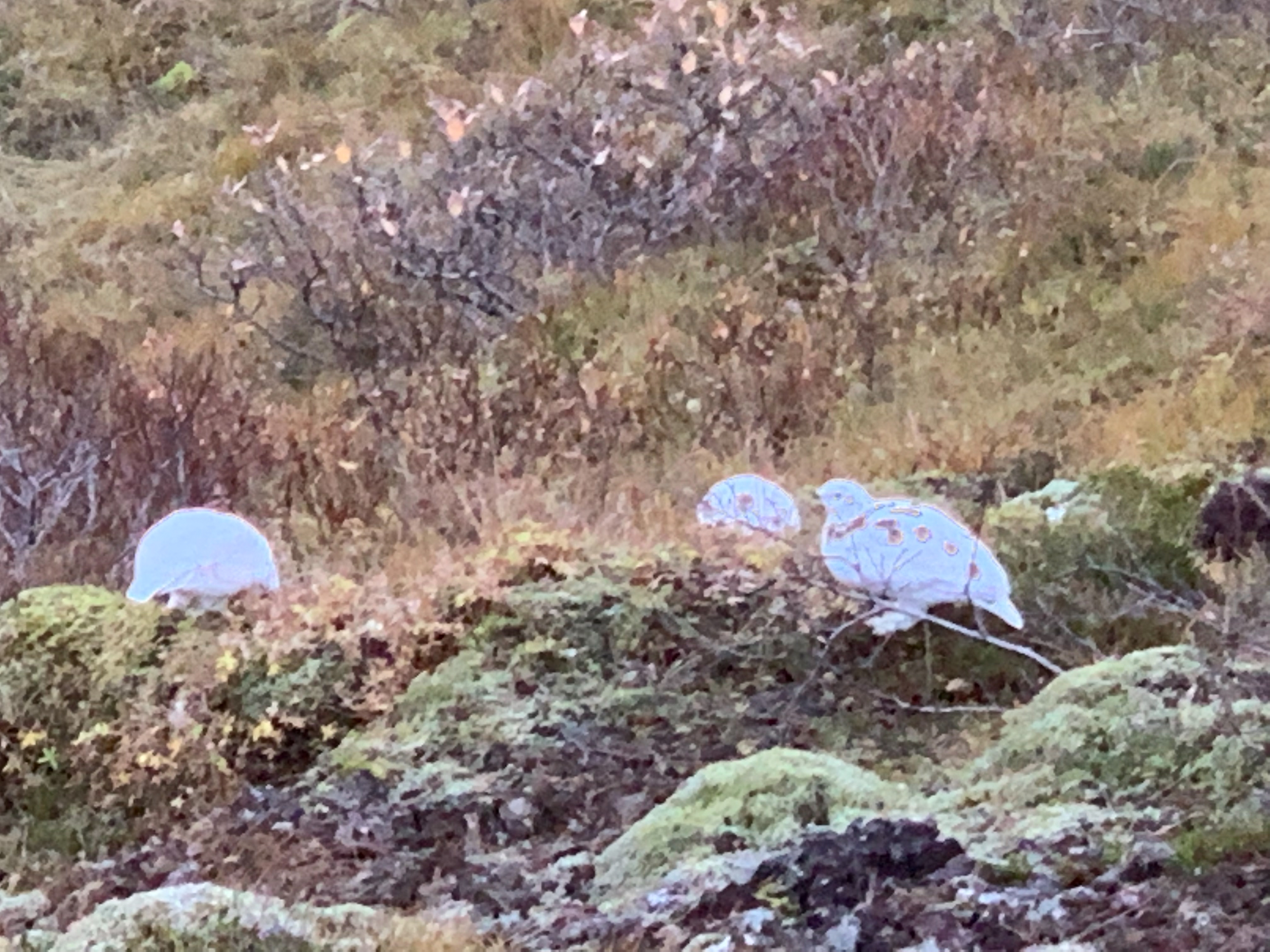 Private Super Jeep with driver guide, fits 4 passengers - photo 12