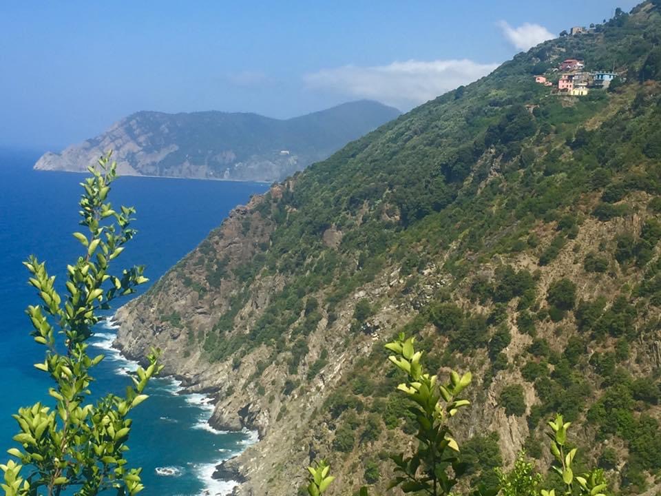 Cinque Terre Day Trip from Florence with Via dell’Amore Walk - Photo 6