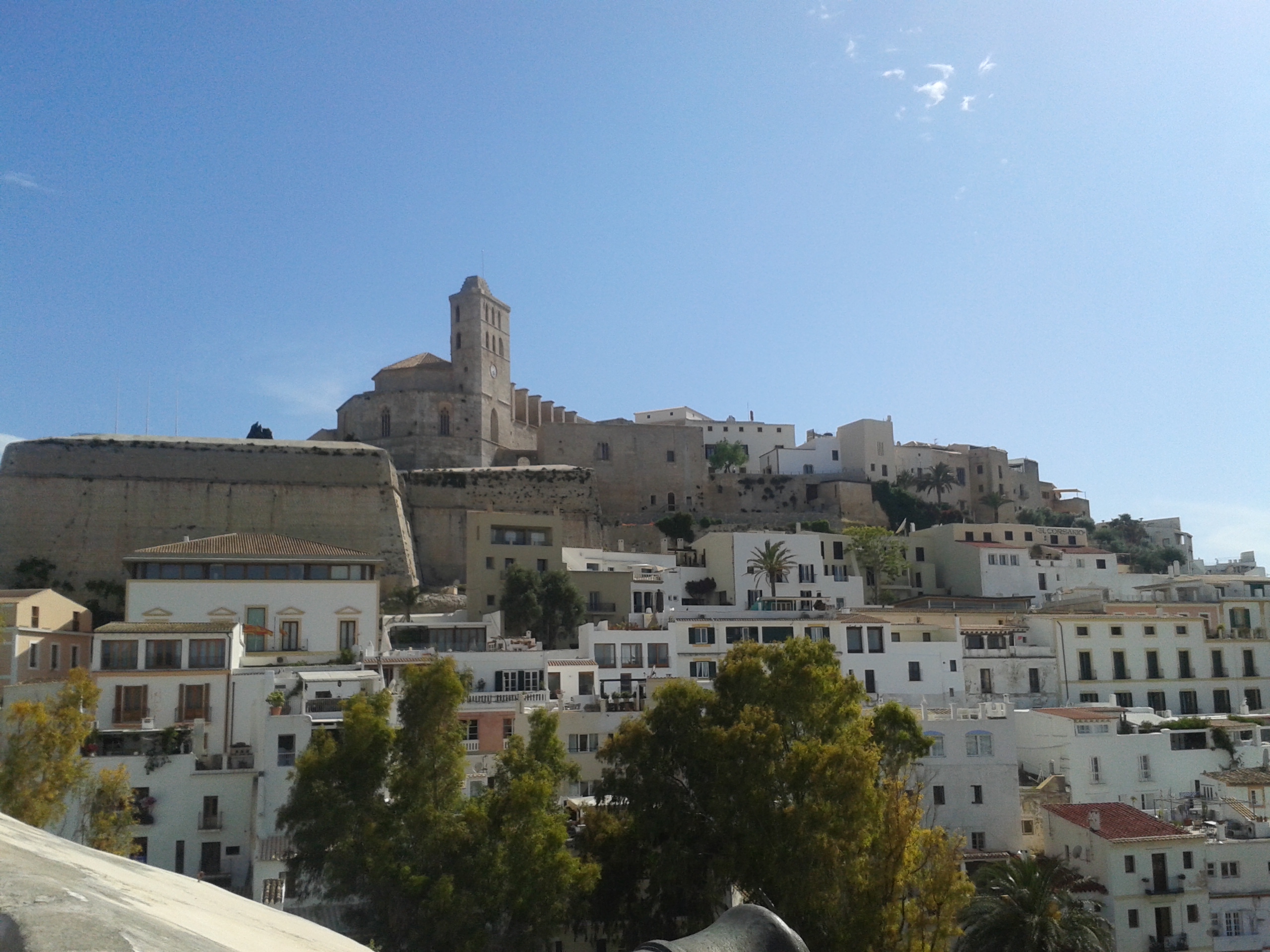 Ibiza night transfer with free time in Dalt Vila and the harbour