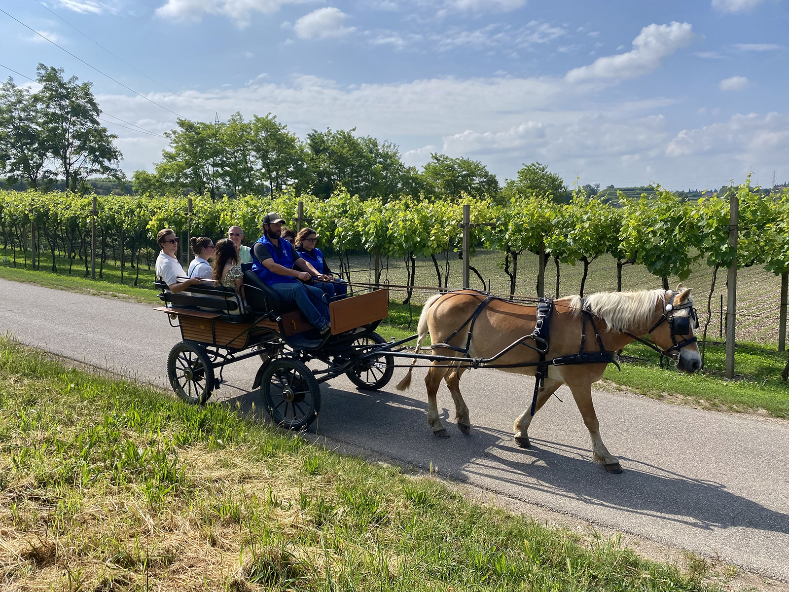 Horse Carriage Tour in Lazise: Romantic Lake Garda Experience - Photo 5