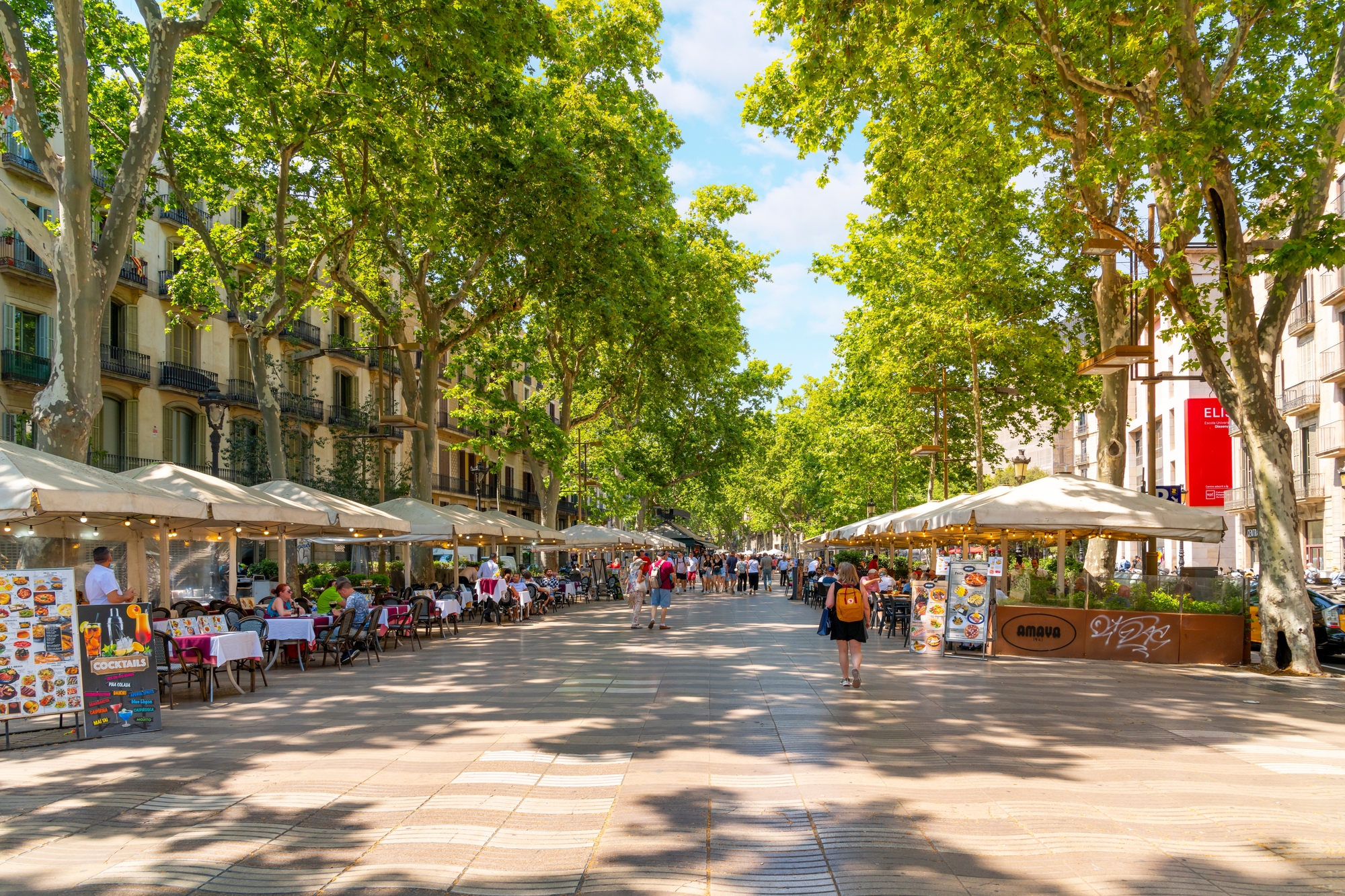 Visita turística privada de 2 horas en Barcelona 5