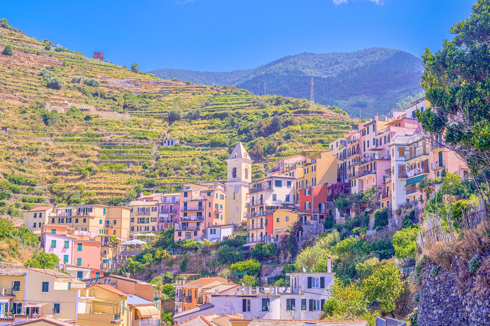 Full-Day Small-Group Cinque Terre Tour from Florence - Photo 27