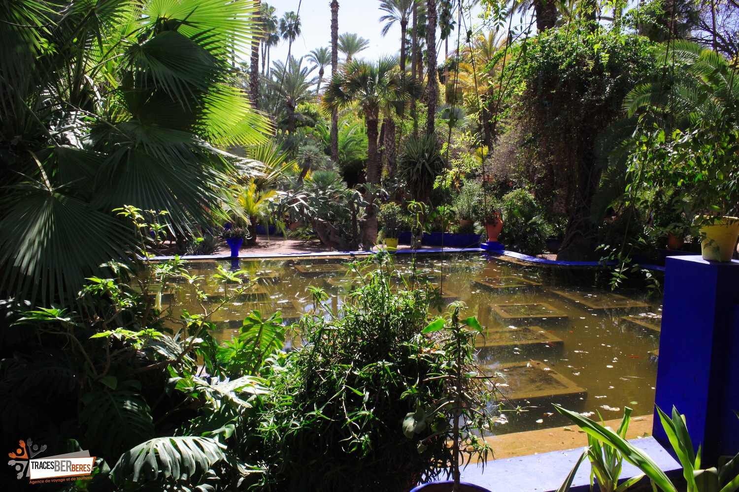 Visita los jardines, el museo y las murallas Majorelle