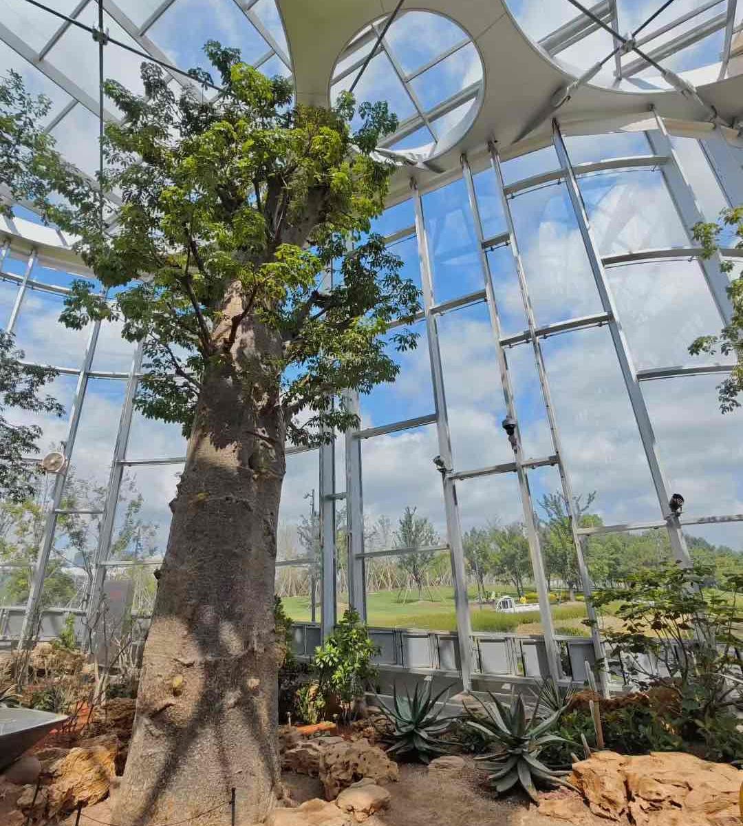 Shanghai Greenhouse Garden Entry Ticket