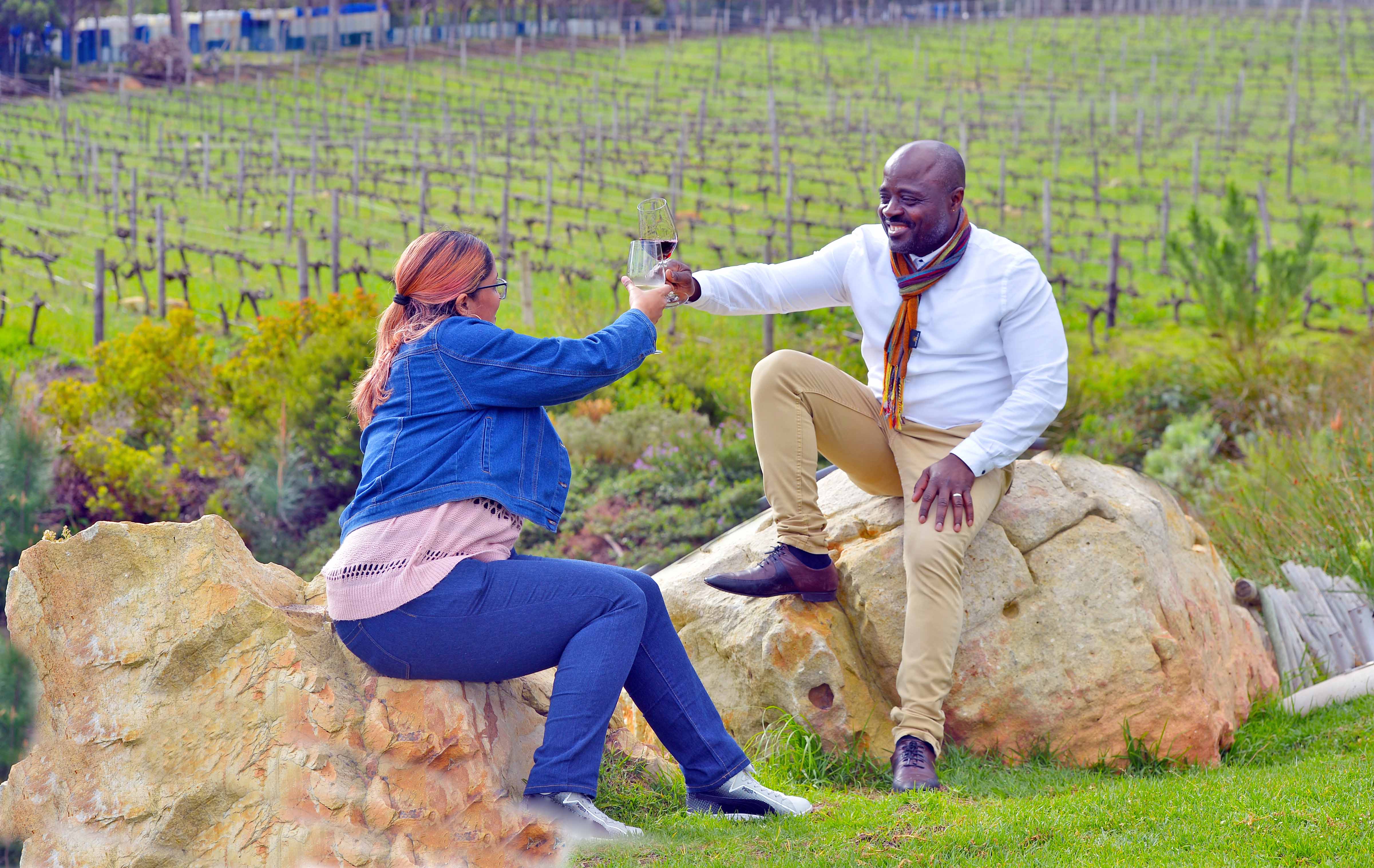 Tours privados de vino en Ciudad del Cabo, incluido Stellenbosch