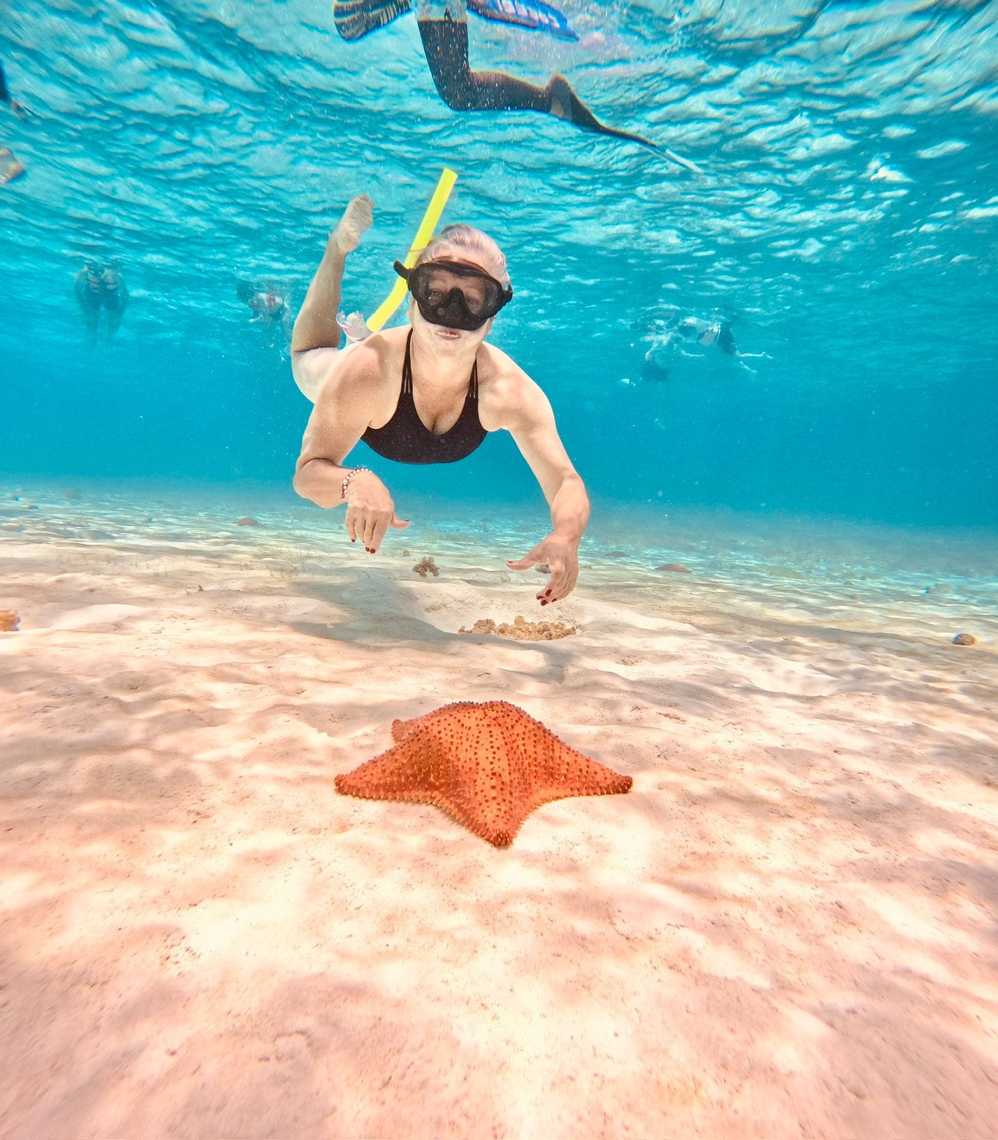 Excursión a Cozumel desde Cancún transporte incluido 5