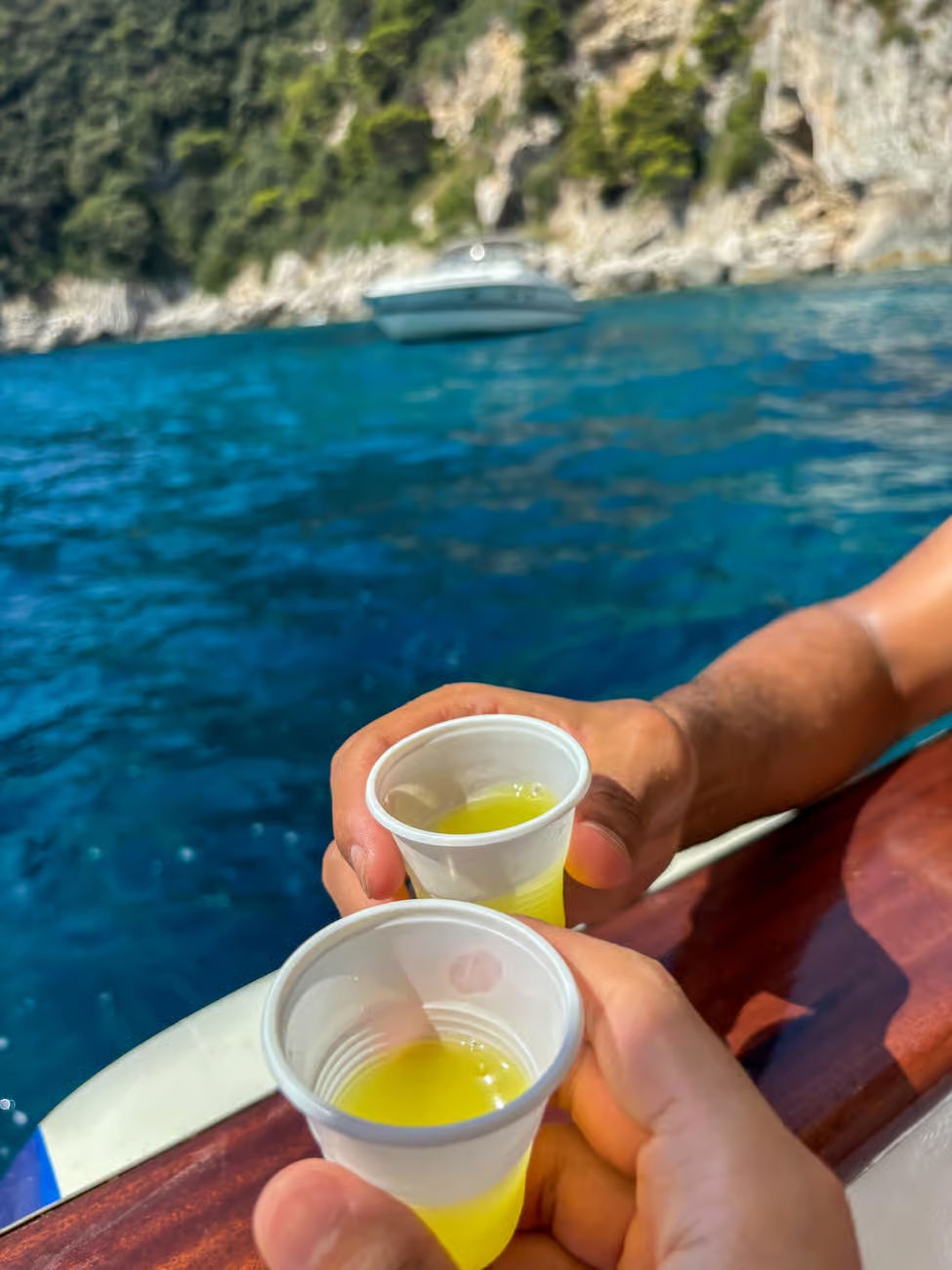 Capri Boat Experience: Faraglioni, Caves, Swim, Limoncello & Snacks - Photo 9