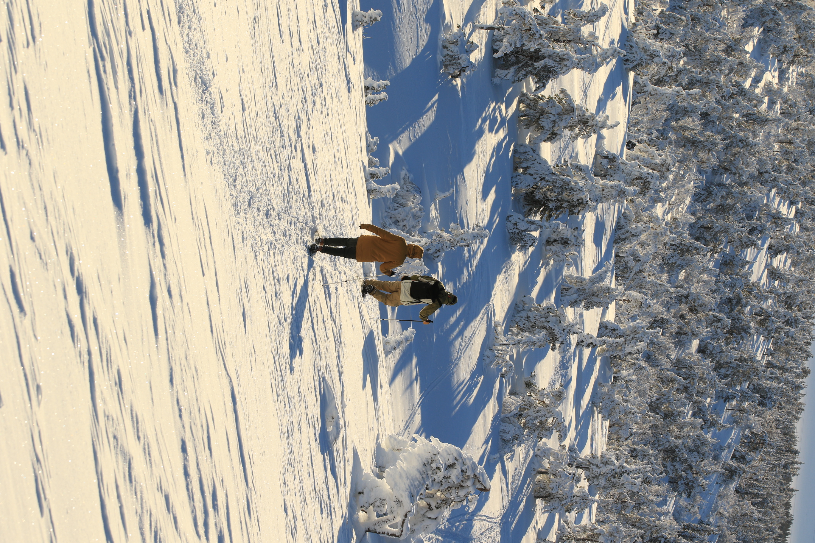 Snowshoe Explorer: Short Journey in Levi Snowshoe Explorer: Short Journey in Levi