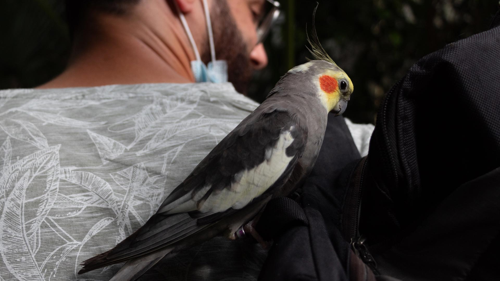 Alghero: visit to the Butterfly House - Photo 24
