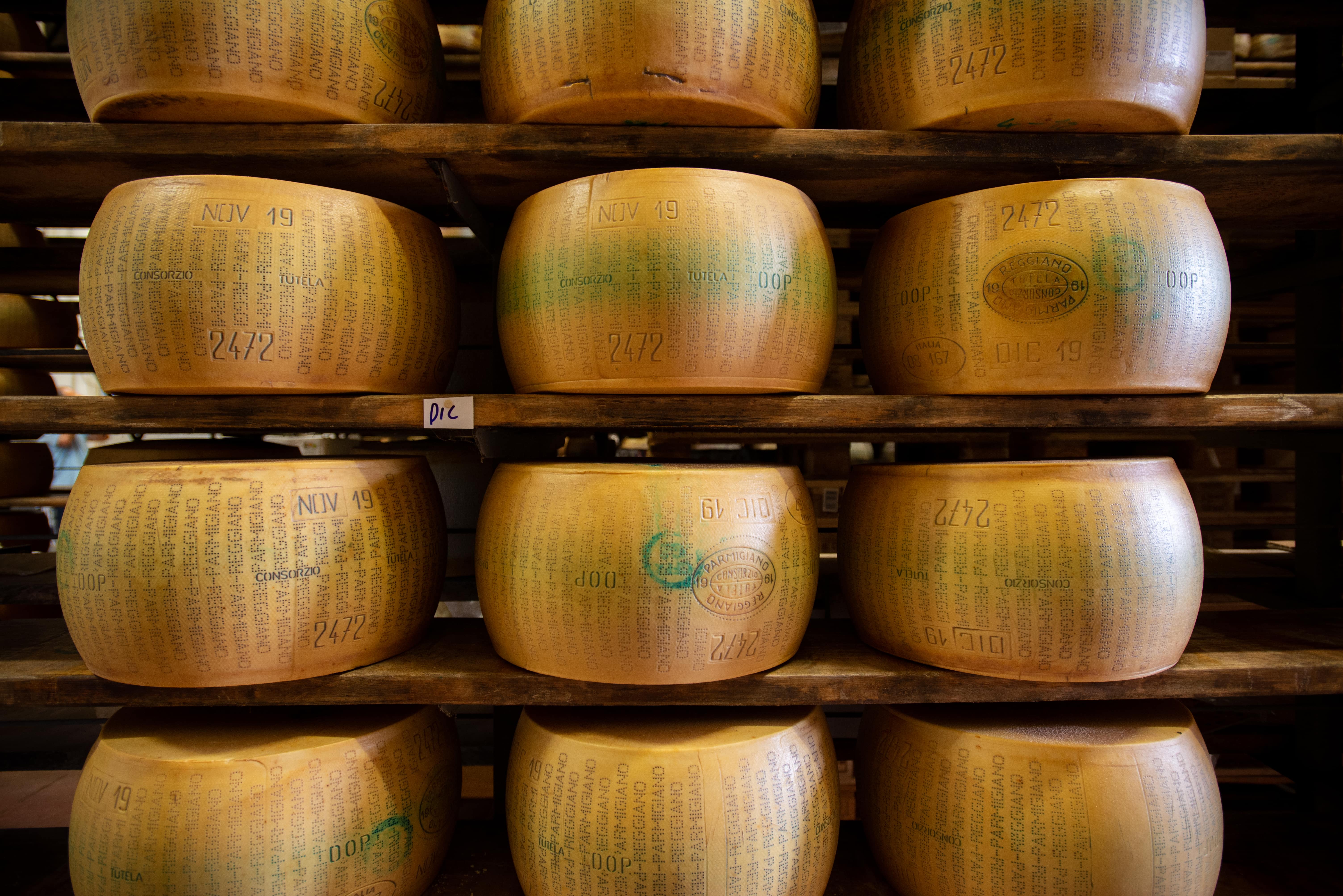 Parmigiano-Reggiano and Parma Ham Gastronomic Half Day tour -from Parma  - Photo 6