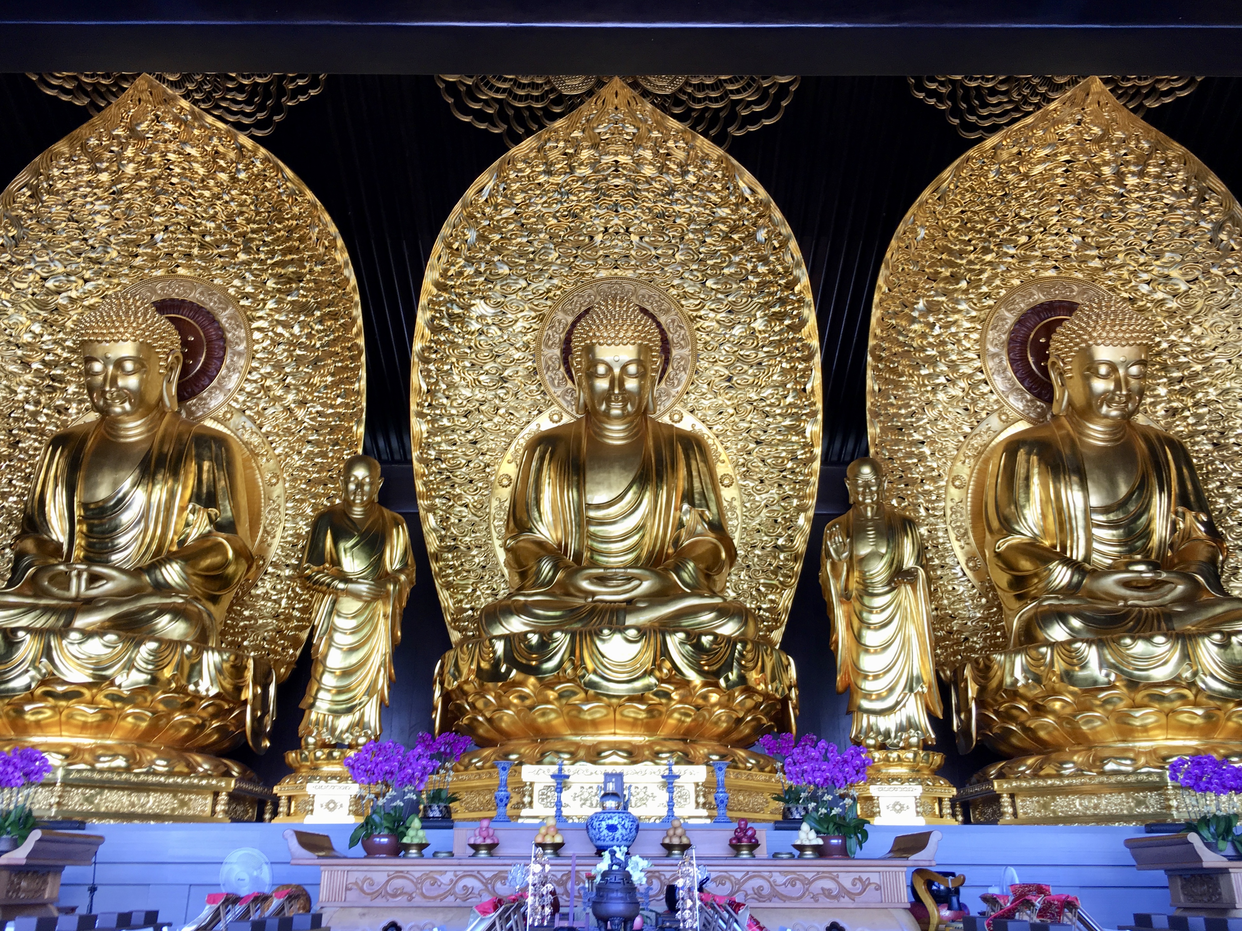 Guided Tour of the New Territories with Tsz Shan Monastery in Private Service - Accommodations in Hong Kong