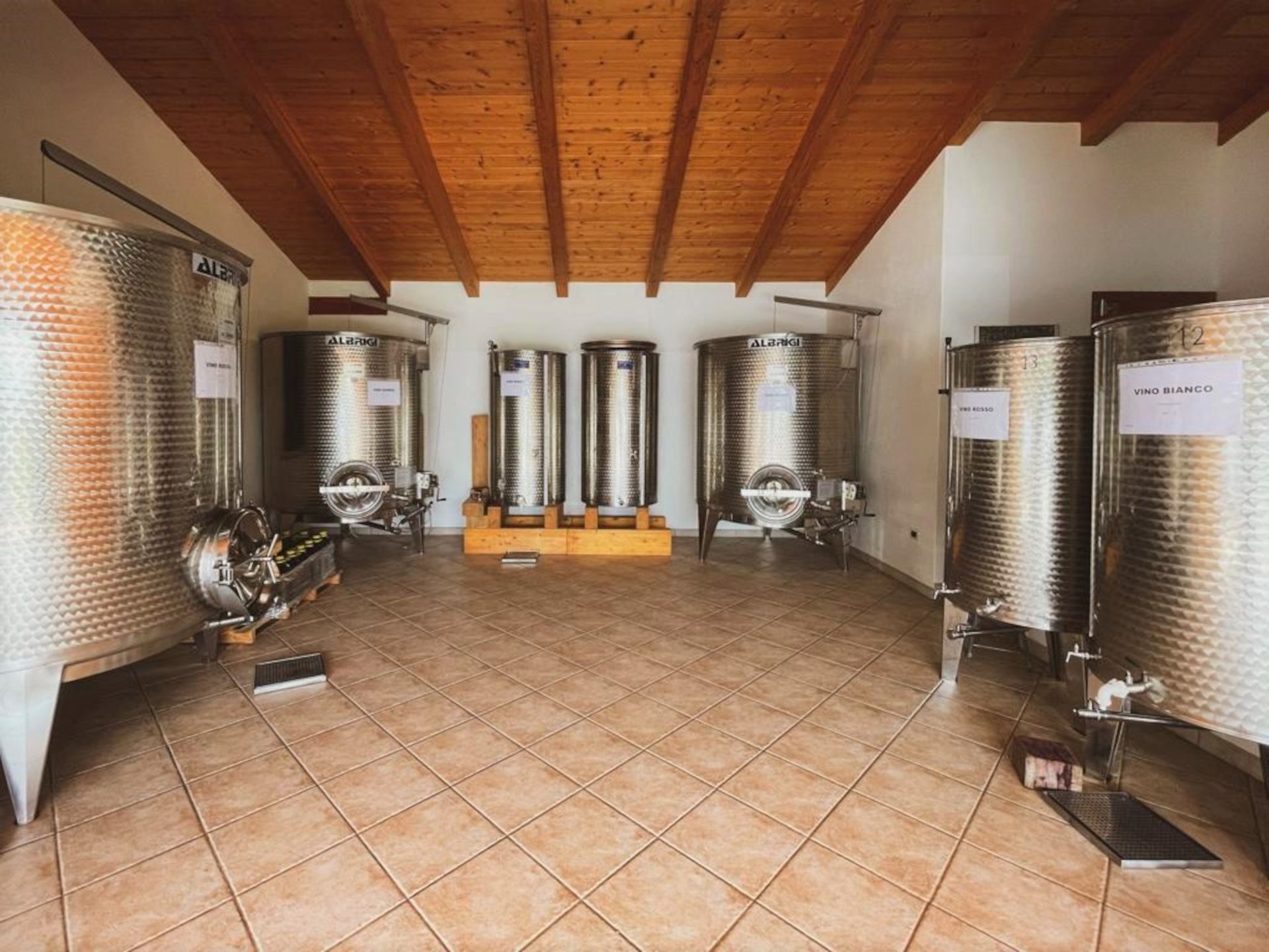 Alghero: aperitif in a vineyard - Photo 14