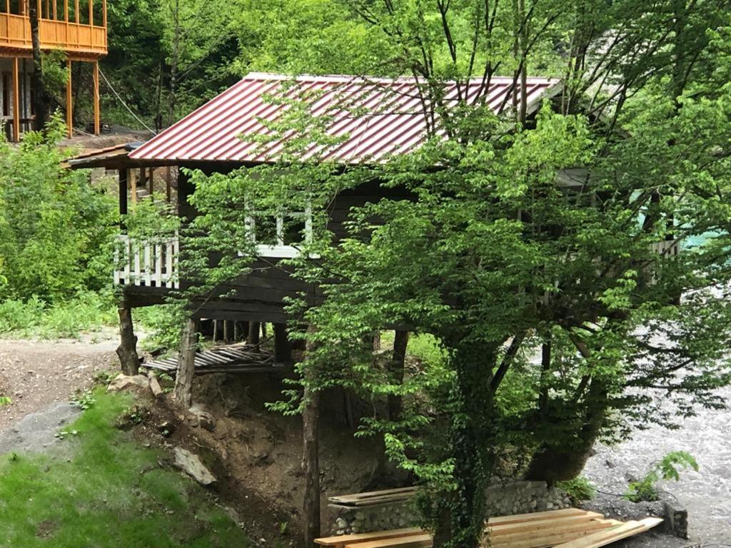 Day Trip from Shkoder to Valbona: including Komani Lake & Shala River Tour