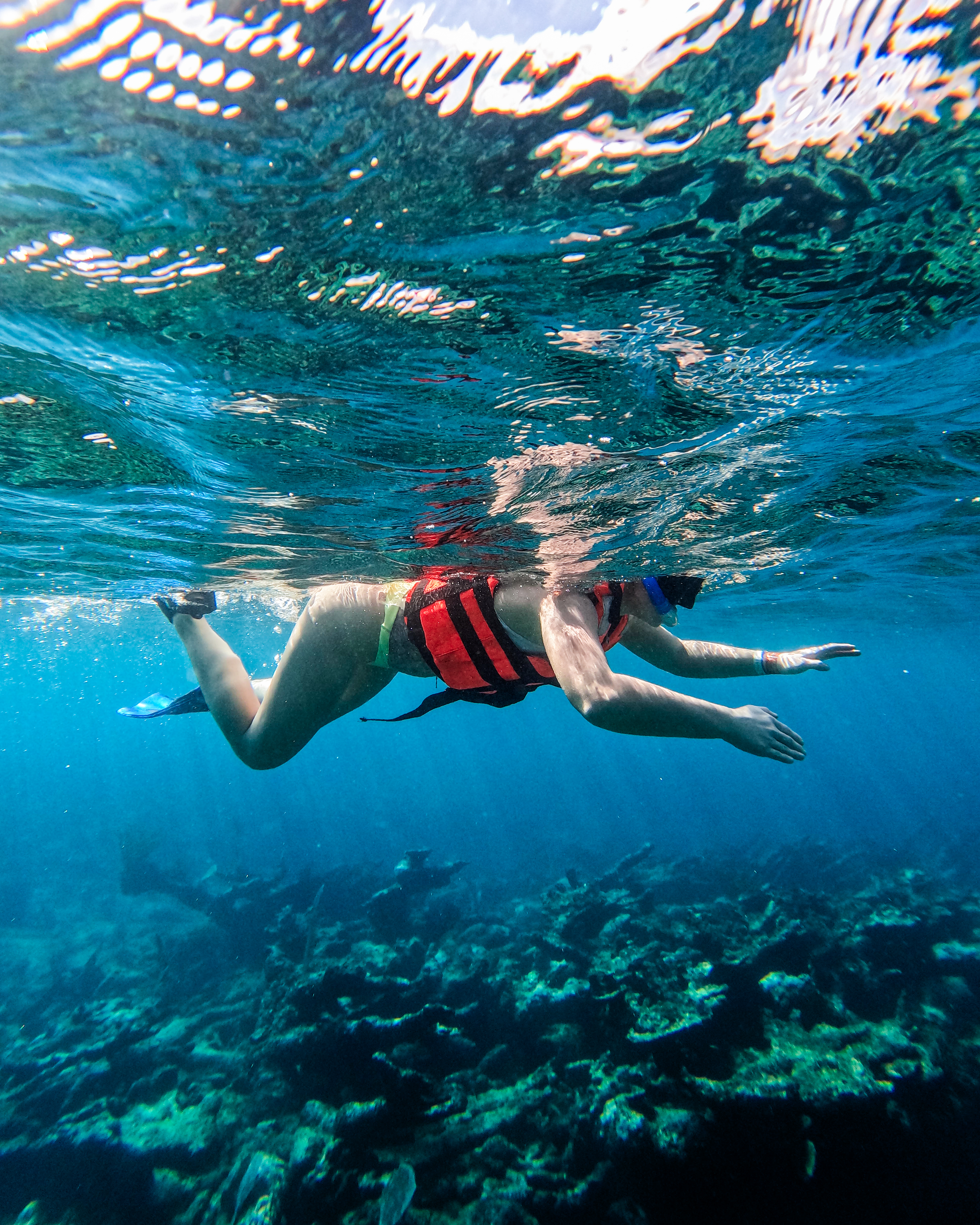 1.5 hours Snorkeling at Tulum's paradise reef — 63/92