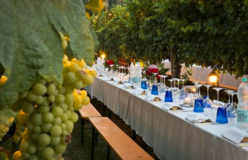 San Gimignano Wine Tasting & Tuscan Dinner at a Local Winery - Photo 7