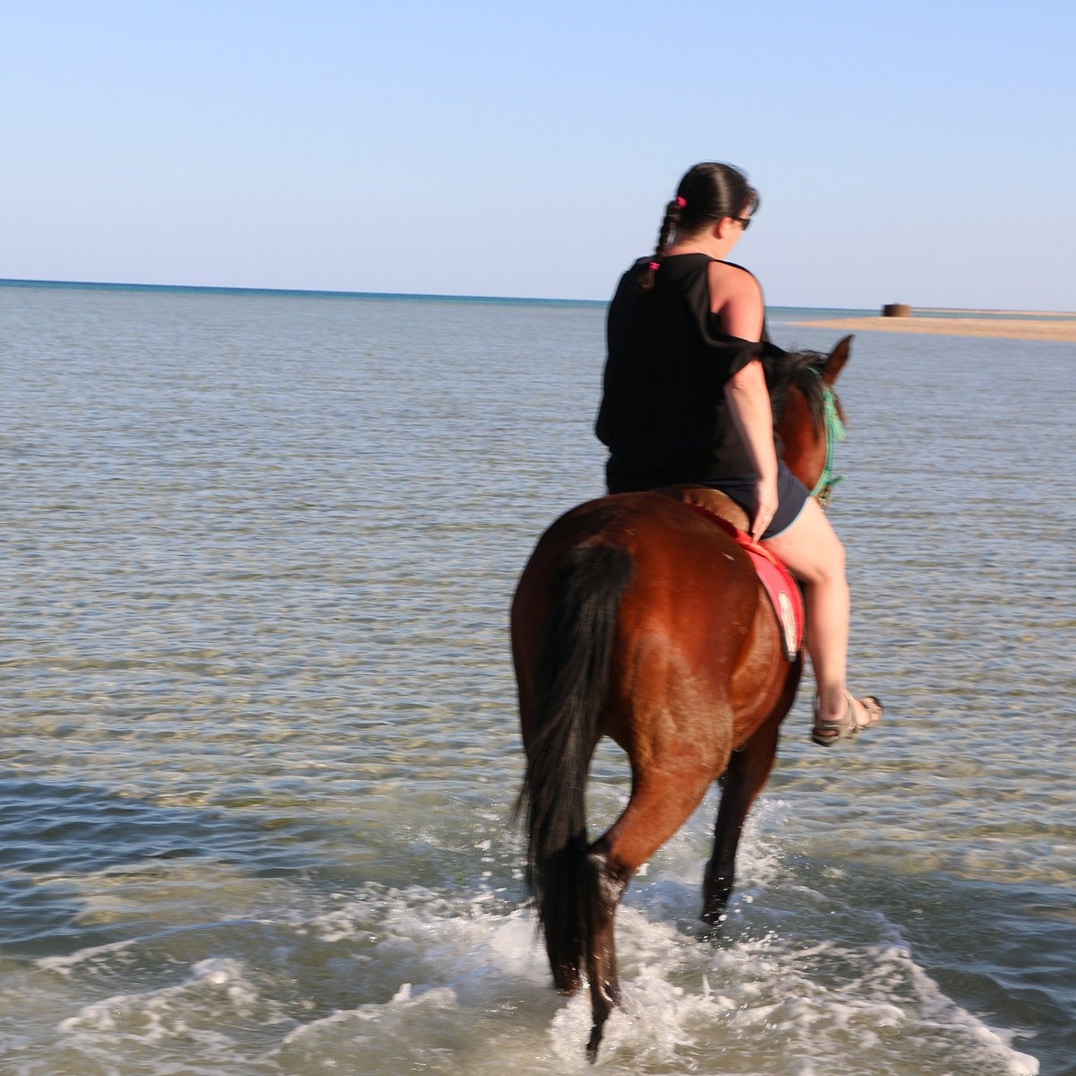 Hurghada Horse Riding, Desert & Red Sea Adventure – photo 2