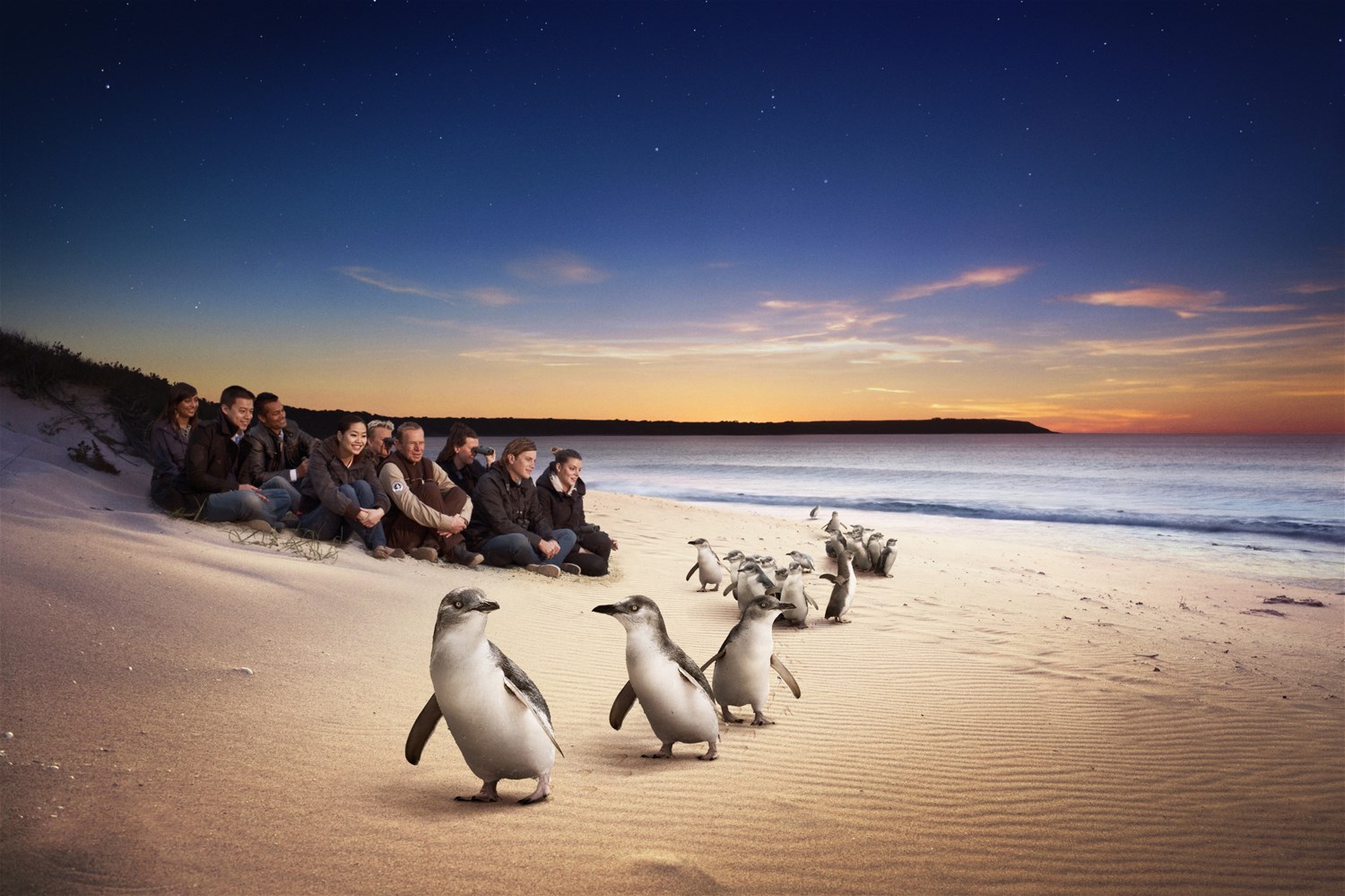 THE AUSSIE EXPLORER  - Photo 7