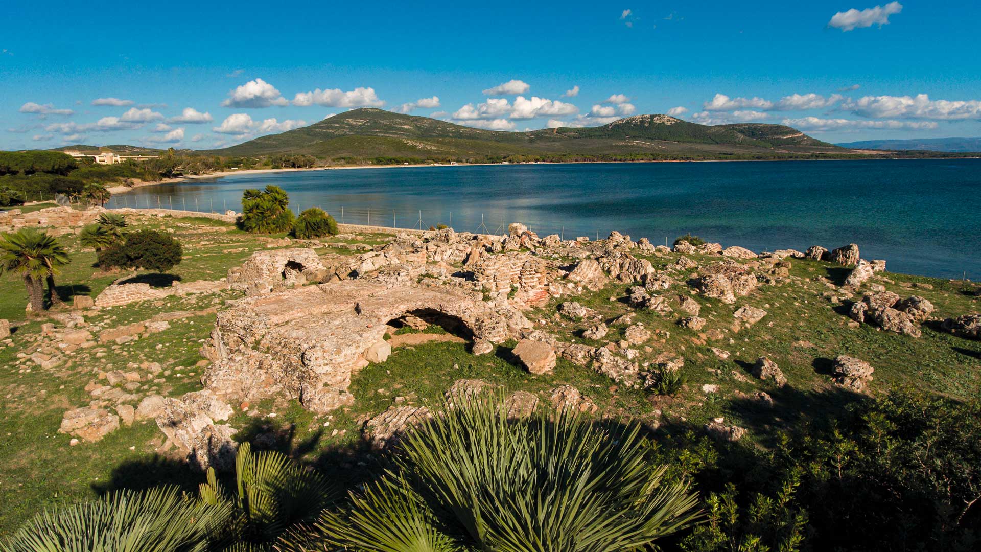 Alghero: visit the Porto Conte Park Ecomuseum - Photo 12