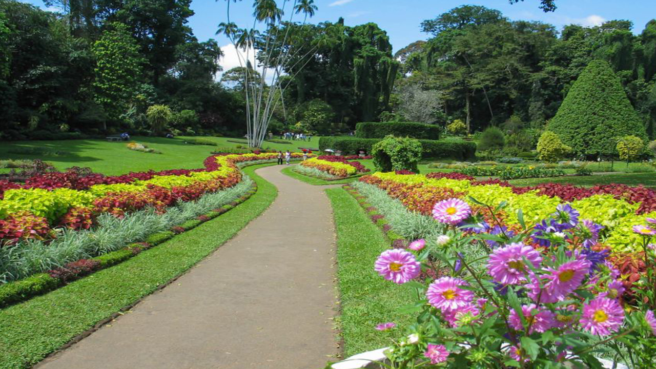 Millennium Elephant Foundation and Kandy Tour from Negombo