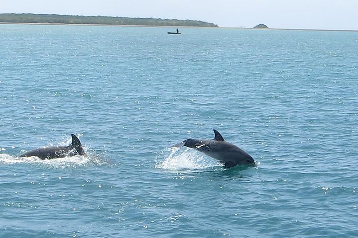 Wasini Full Day Tour - Available Daily