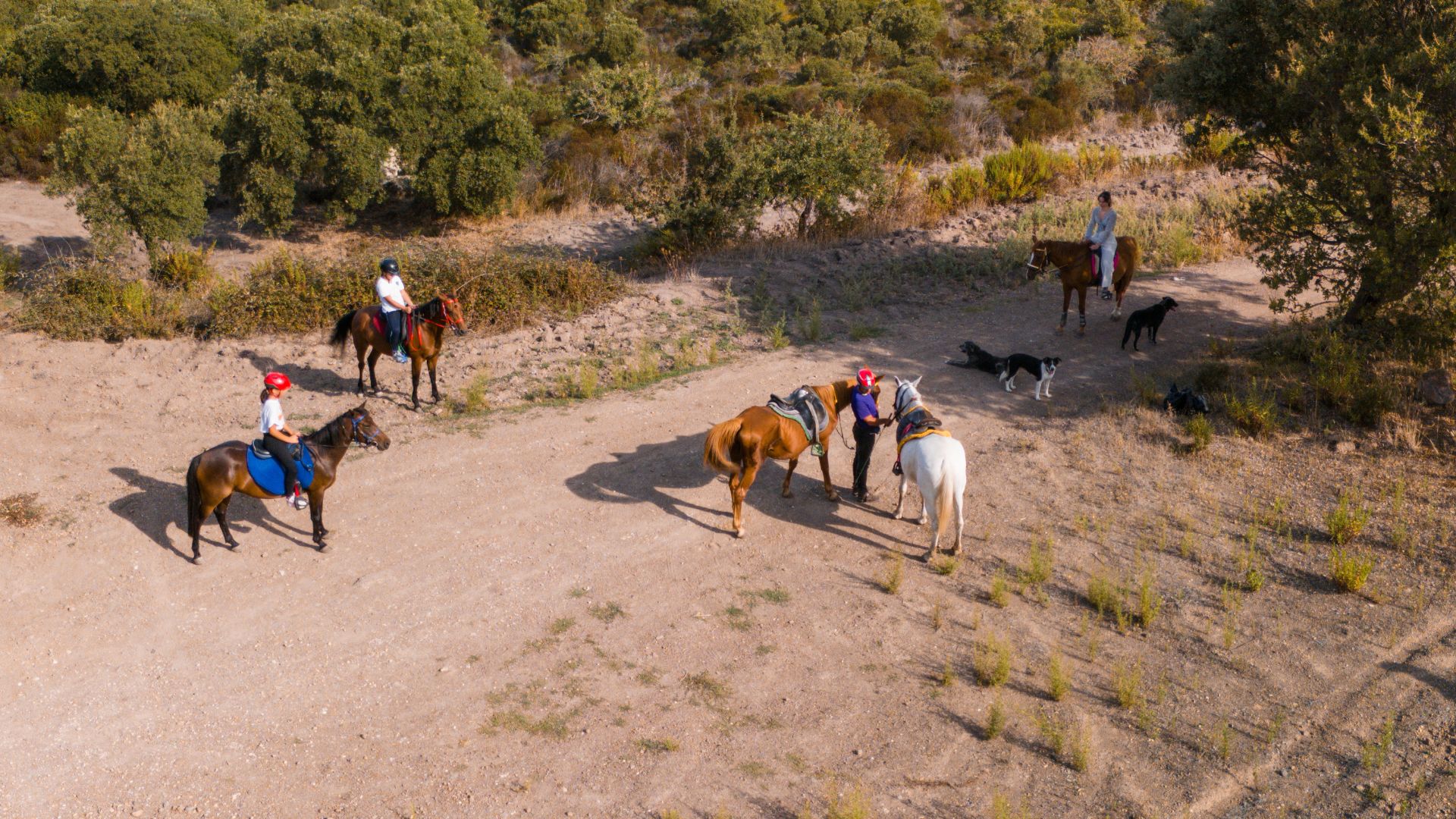 Castelsardo: horseback in Sedini - Photo 5