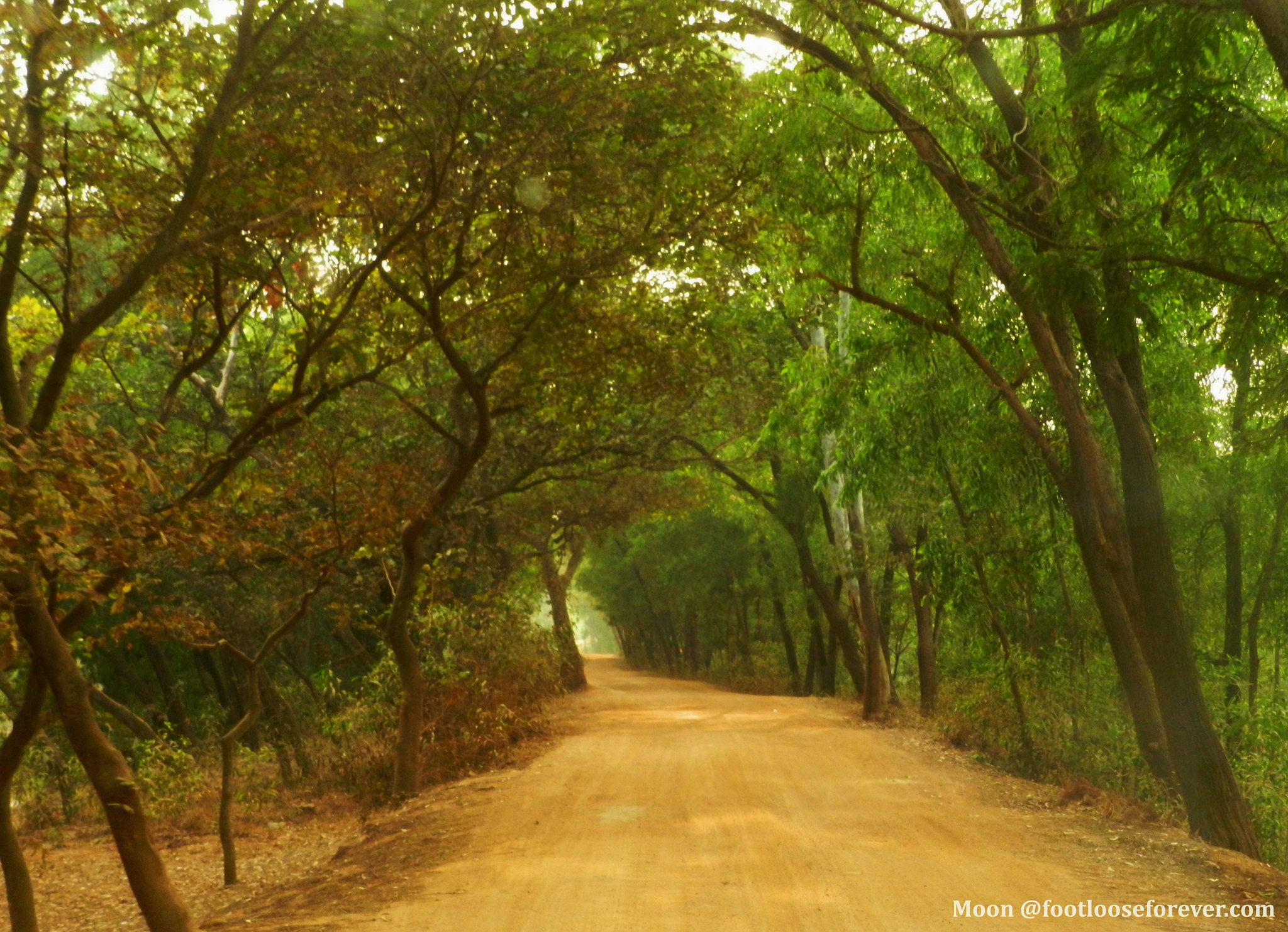 Day Trip to Santiniketan (Guided Private Sightseeing Experience from Kolkata) - Photo 7