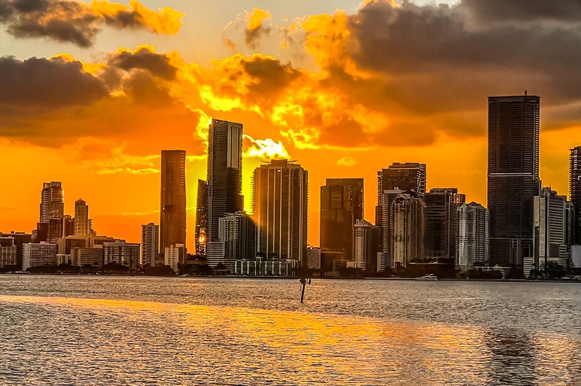 Miami Full-Day Combo: 75 min cruise + Everglades Airboat Tour + Double Decker Bus