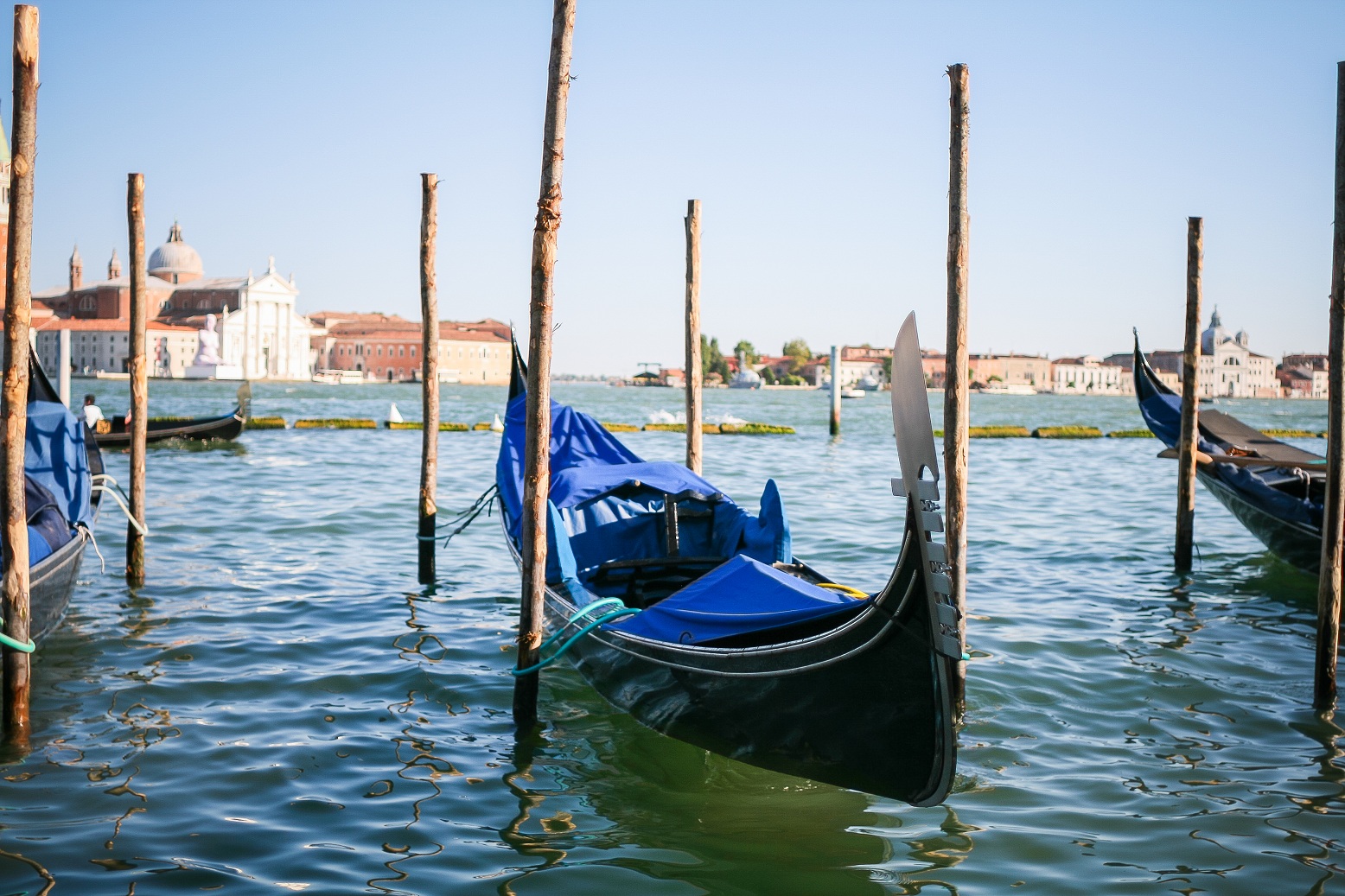 Gondola serenade with music – Image 4 | WeShare