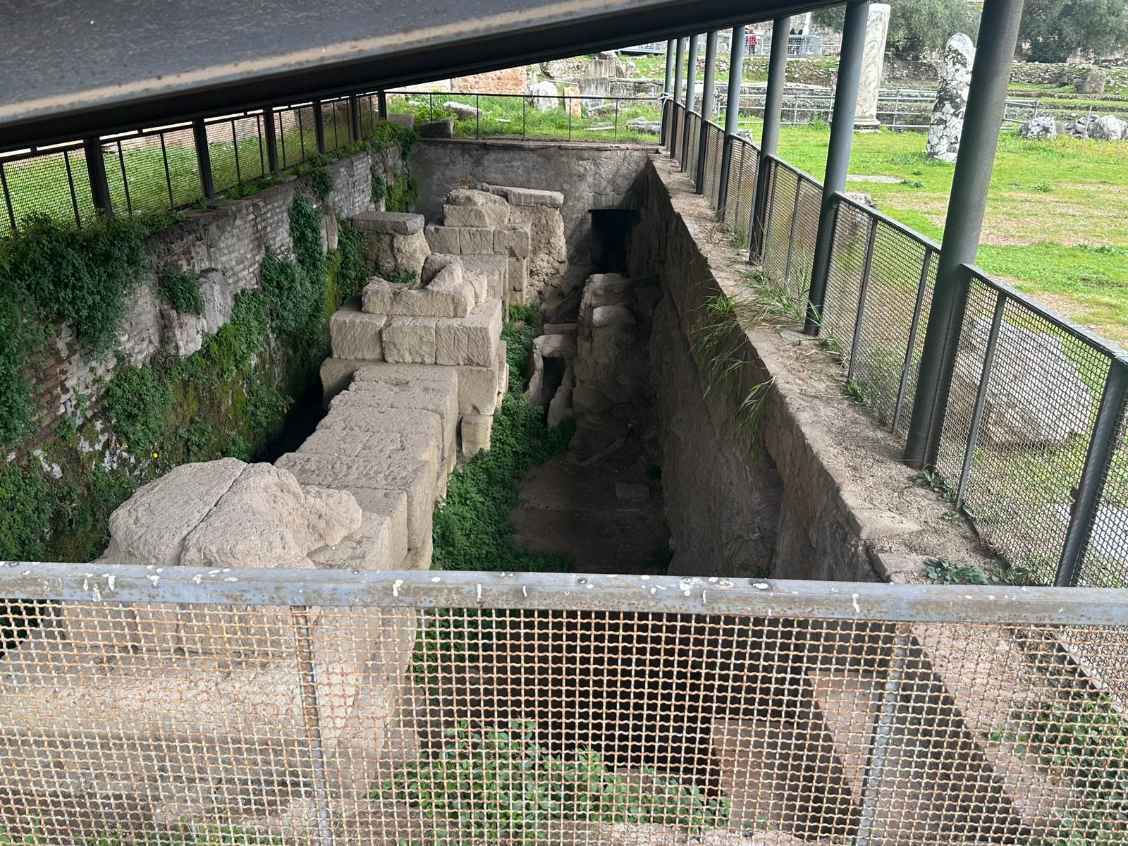 Private Tour of Domus Tiberiana and Ancient Rome - Photo 16
