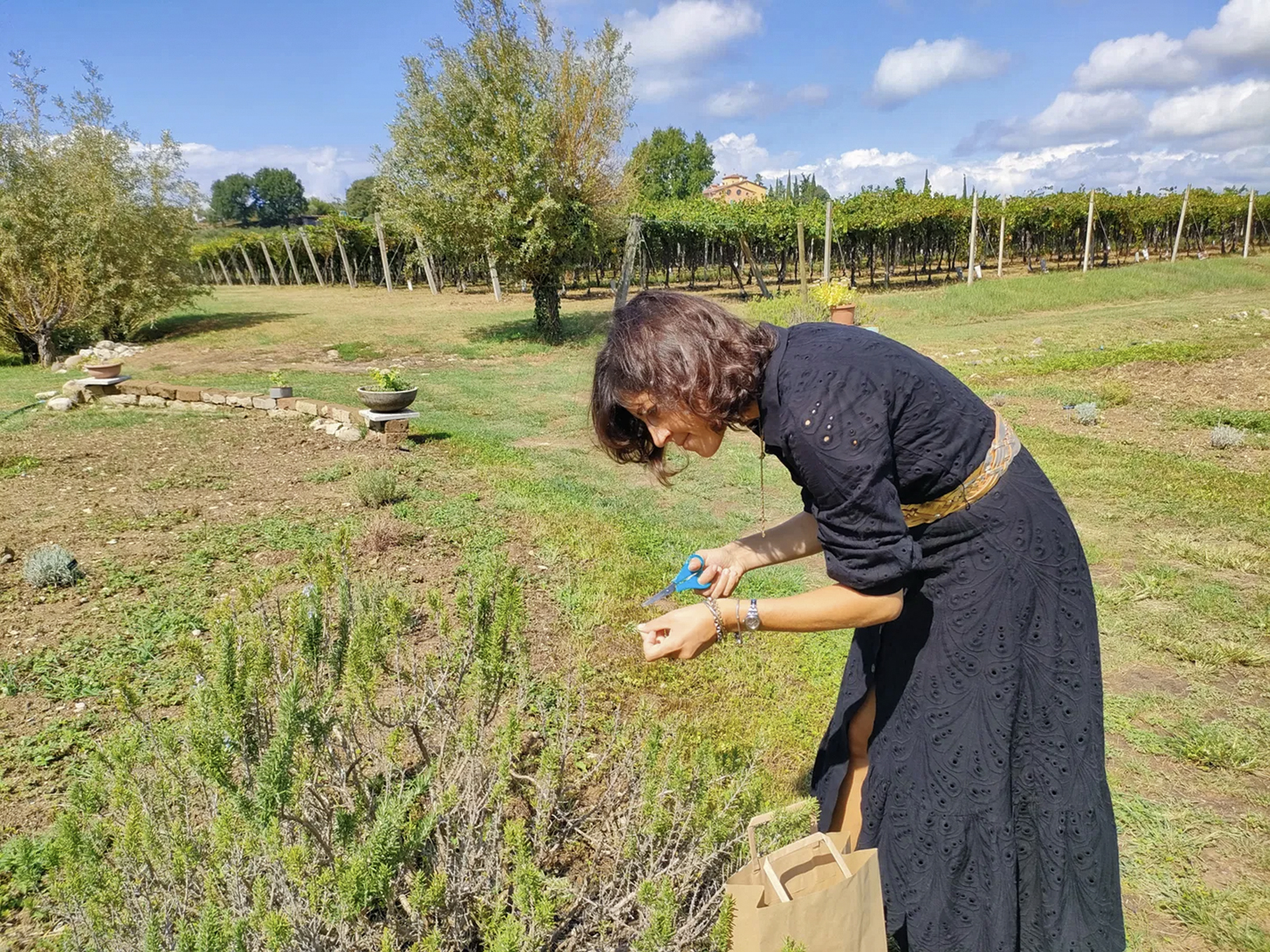 Beekeeping Farm Tour and Tasting Experience - Photo 5