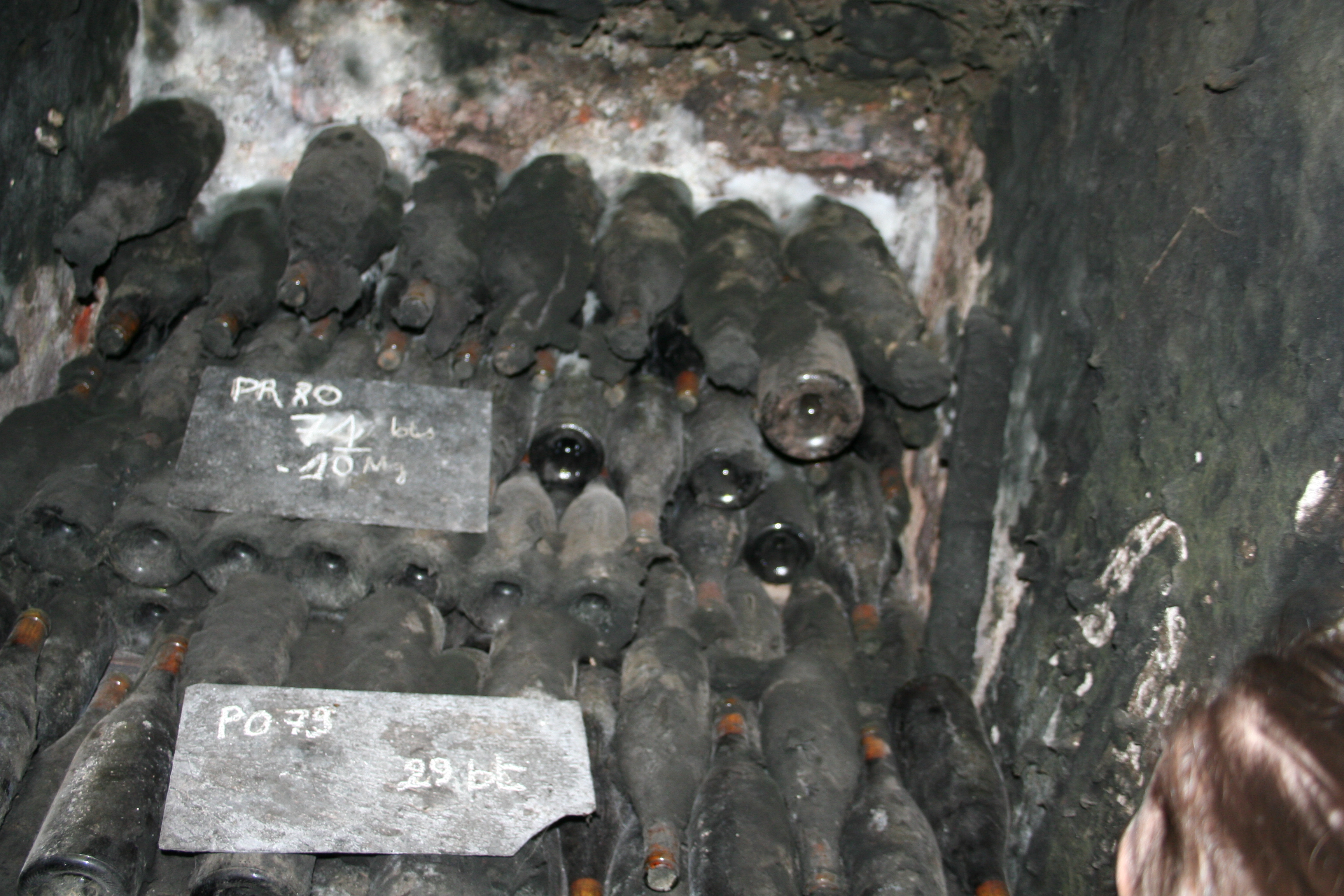 Chateau Cyclo Vino Côte de Nuits - Photo 3