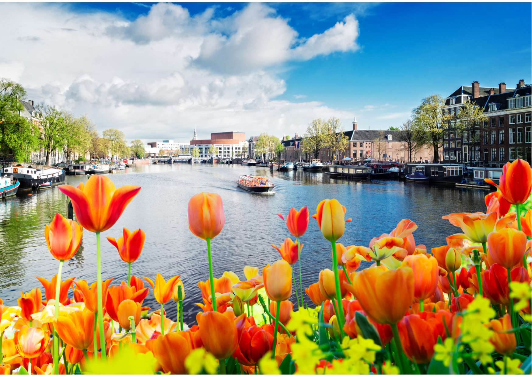 1 Hour Amsterdam Canal Cruise with audio guide - Photo 4