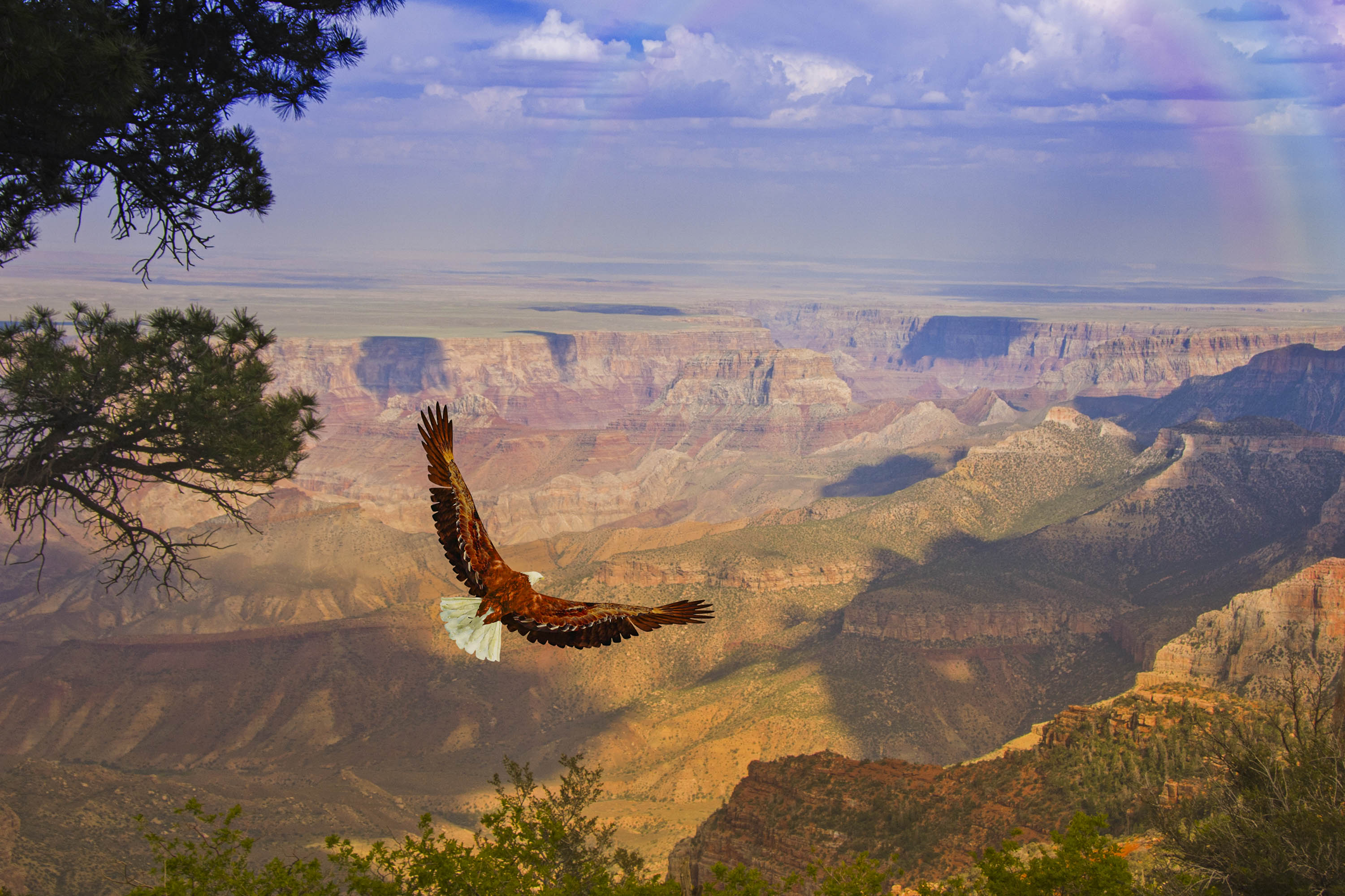Grand Canyon Tour with audio guide