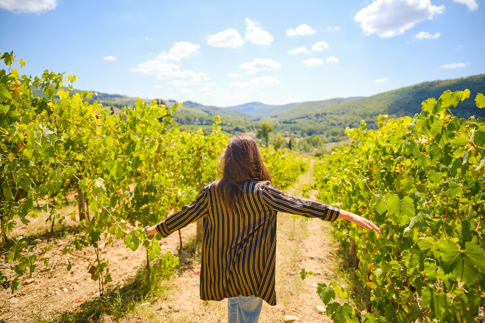Chianti Vineyards Escape from Florence with Two Wine Tastings from Florence - Photo 7
