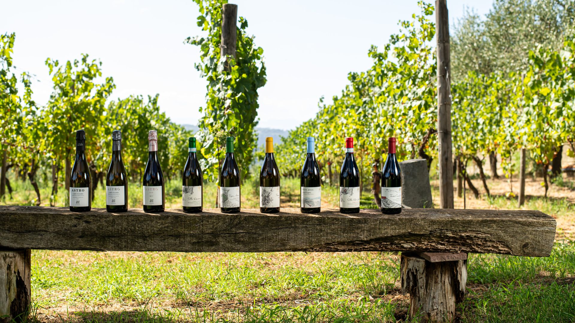 Naples: winery tour and wine tasting on Astroni crater - Photo 15