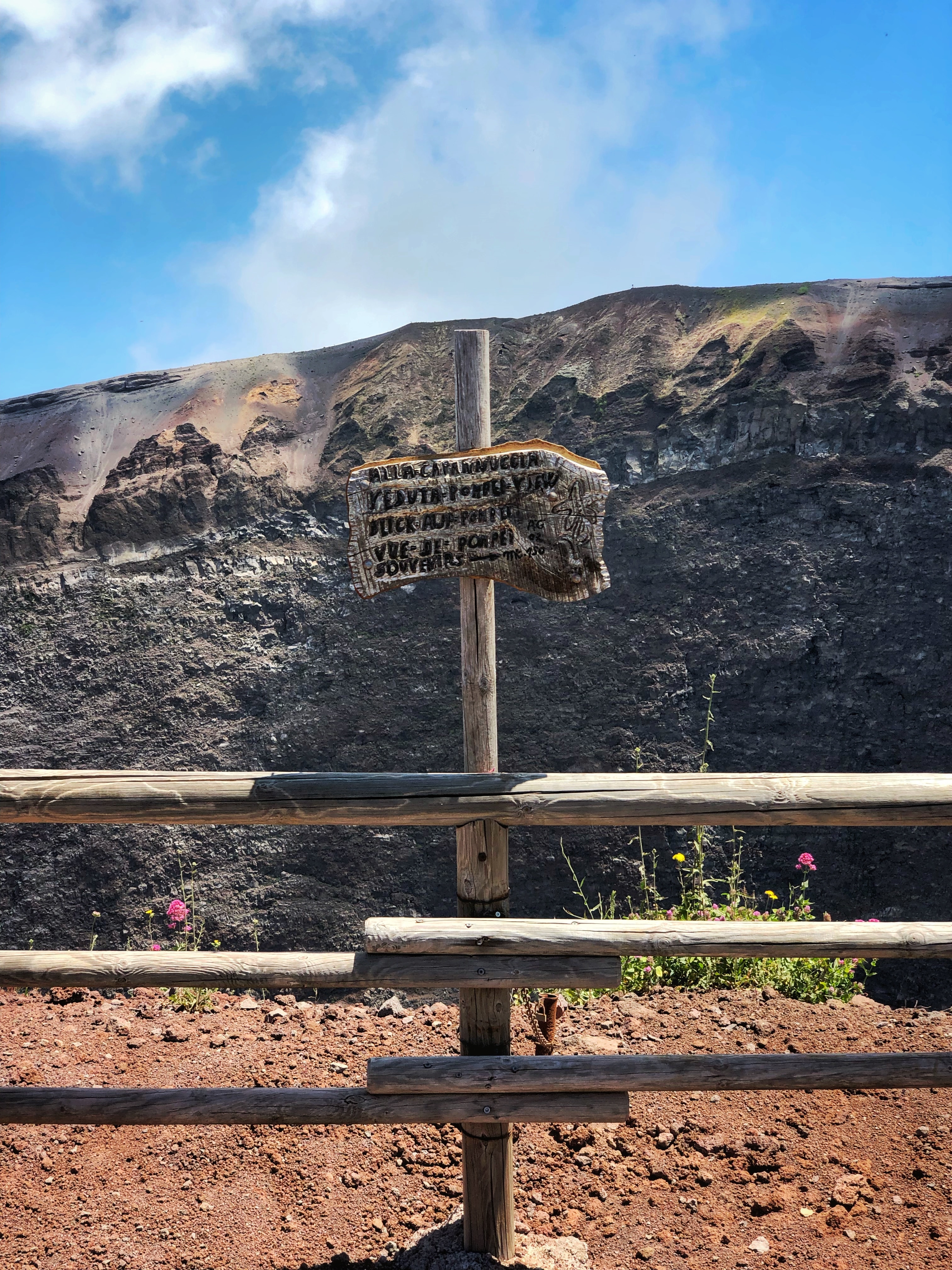 Mount Vesuvius crater tour with lunch at a vineyard - Photo 4