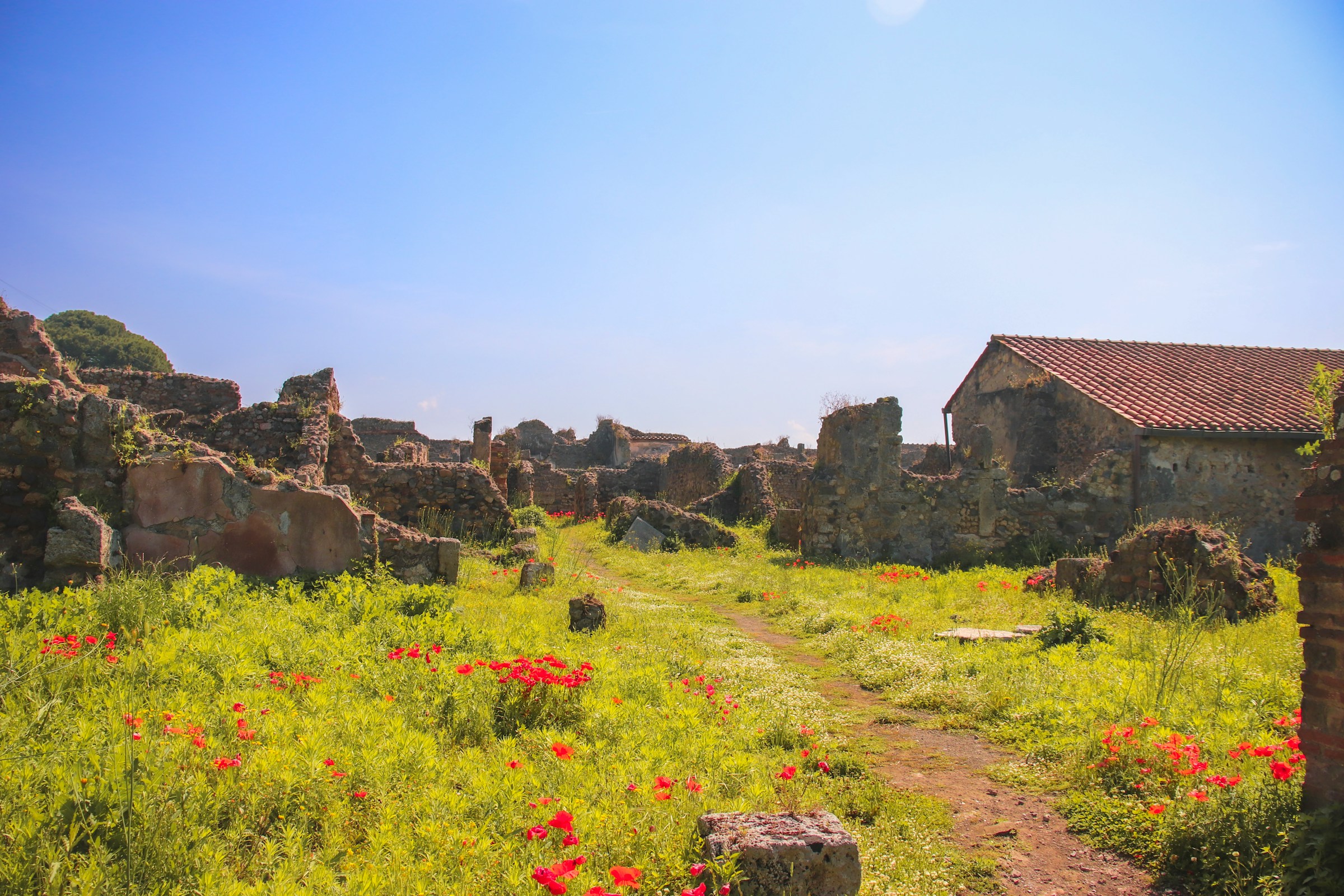 Skip the line Pompeii guided tour and Winery - Photo 6