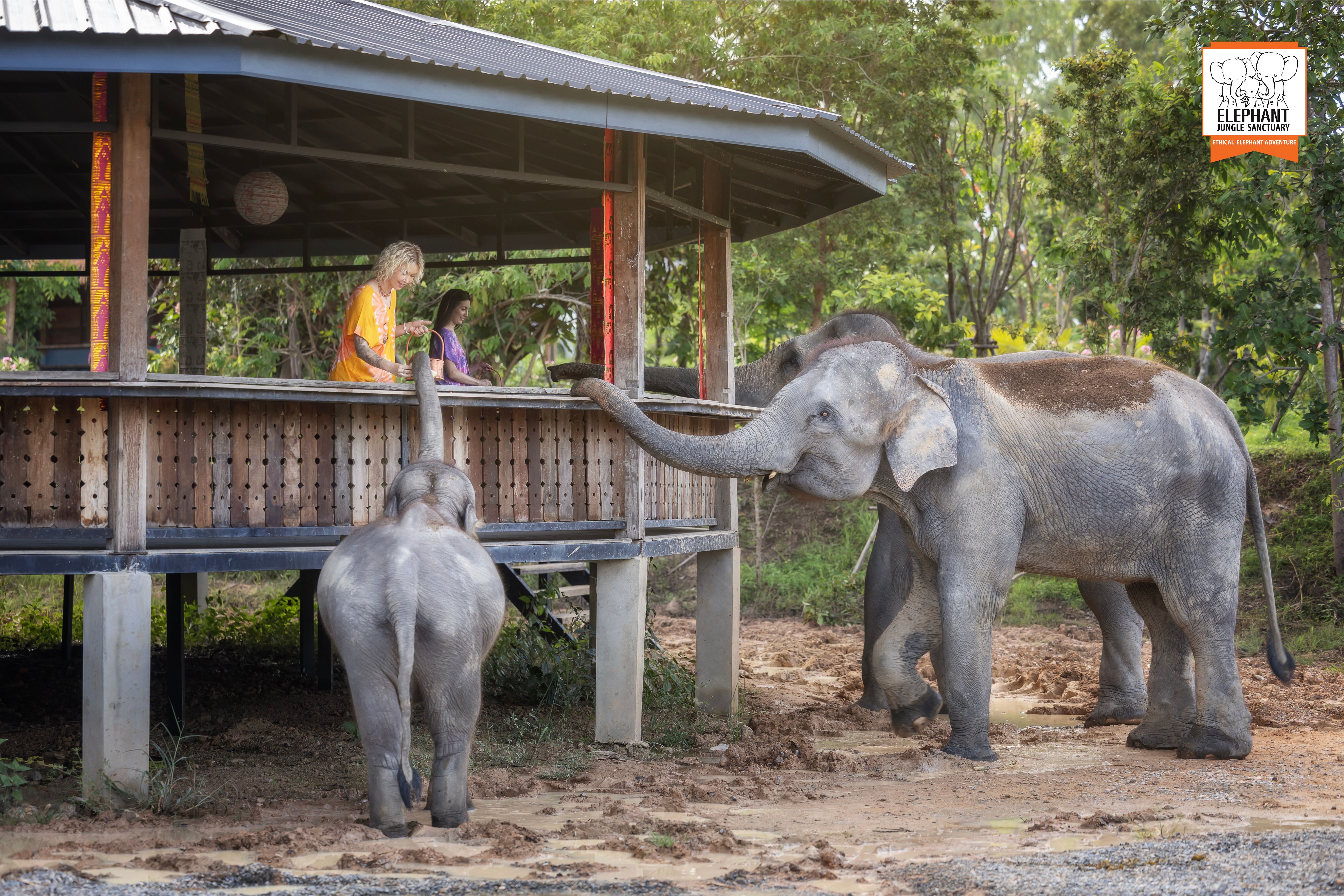 Chiang Mai: Beslenme ve Duş Deneyimi