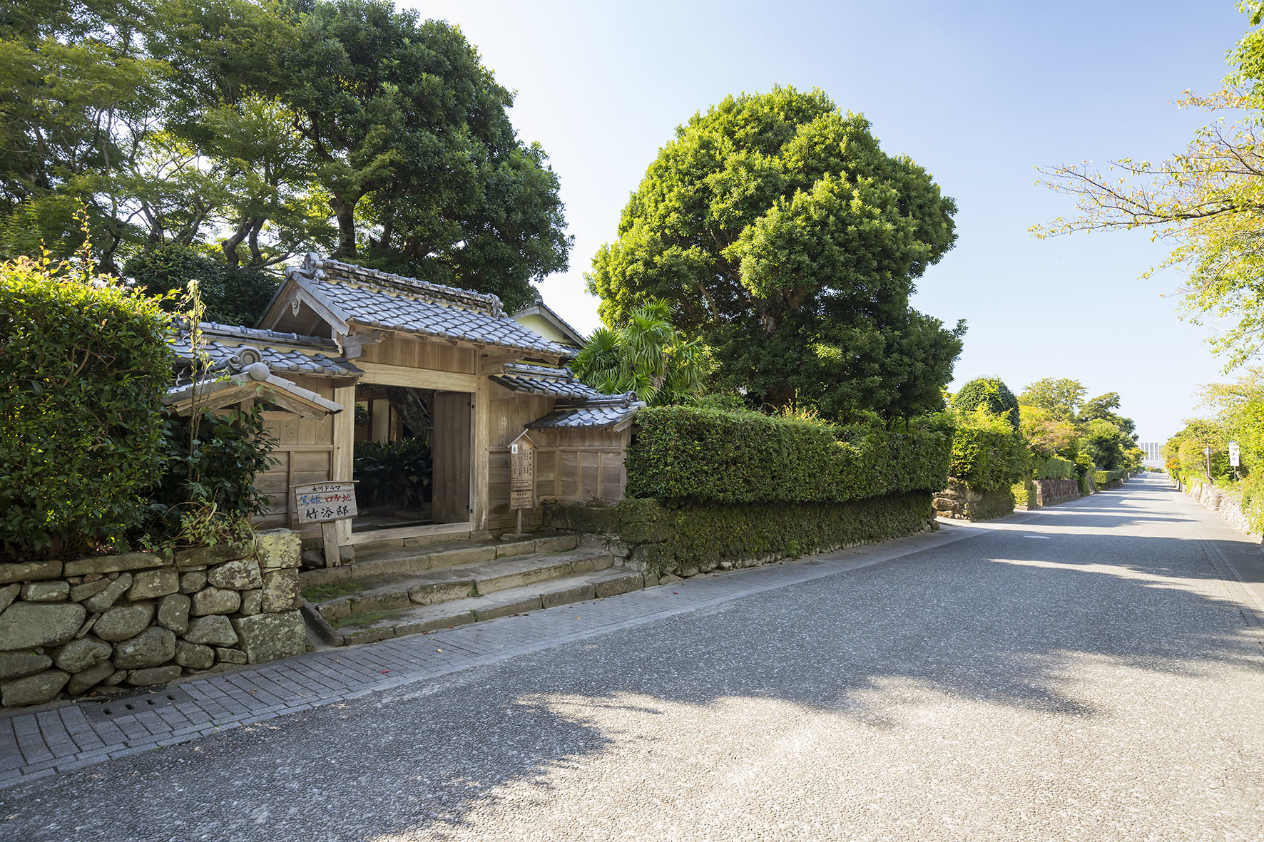 �o���[���Ɖ��~�Q