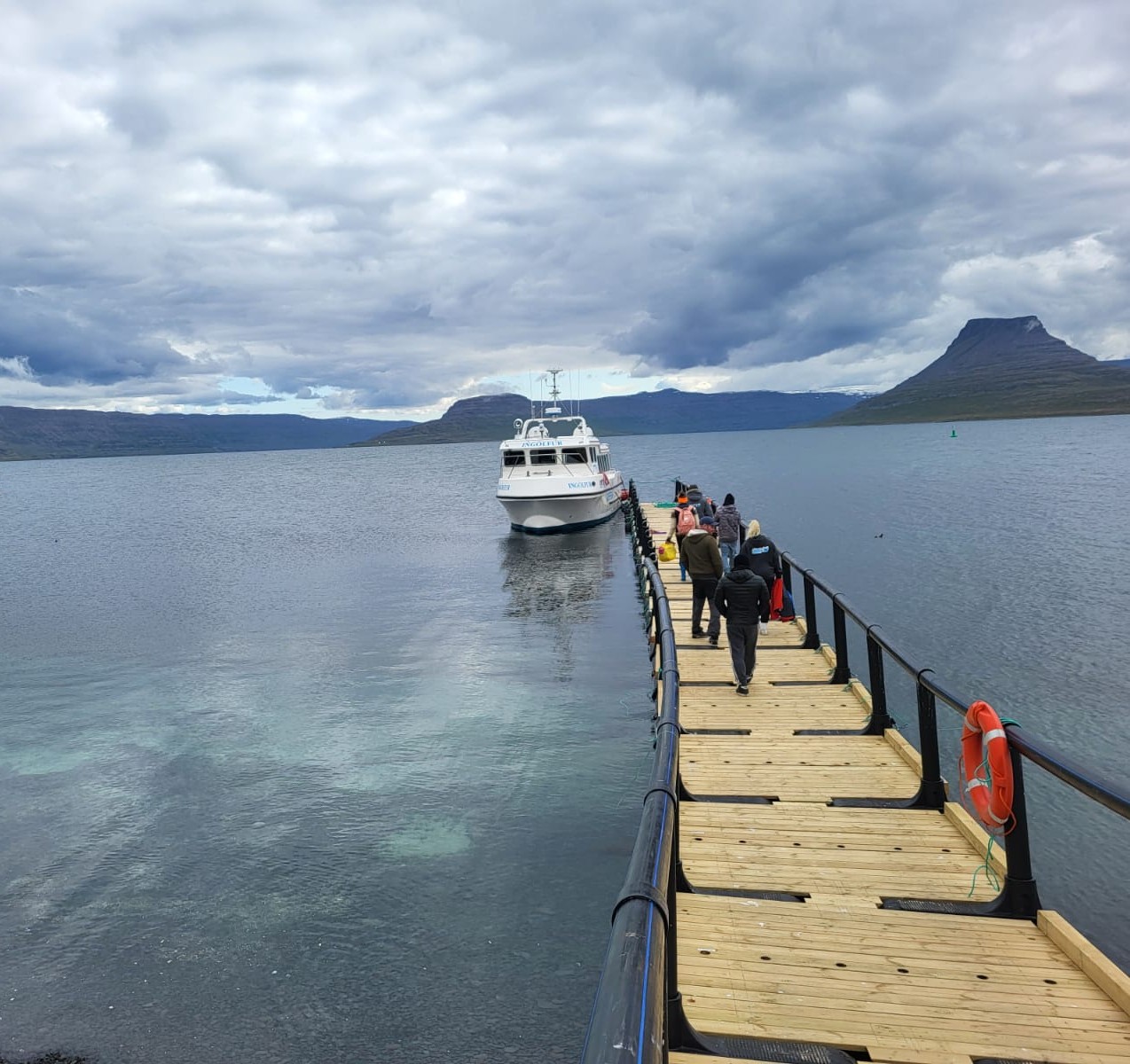 Official Vigur Island Tour (with return boat transfer from Ísafjörður) - photo 16