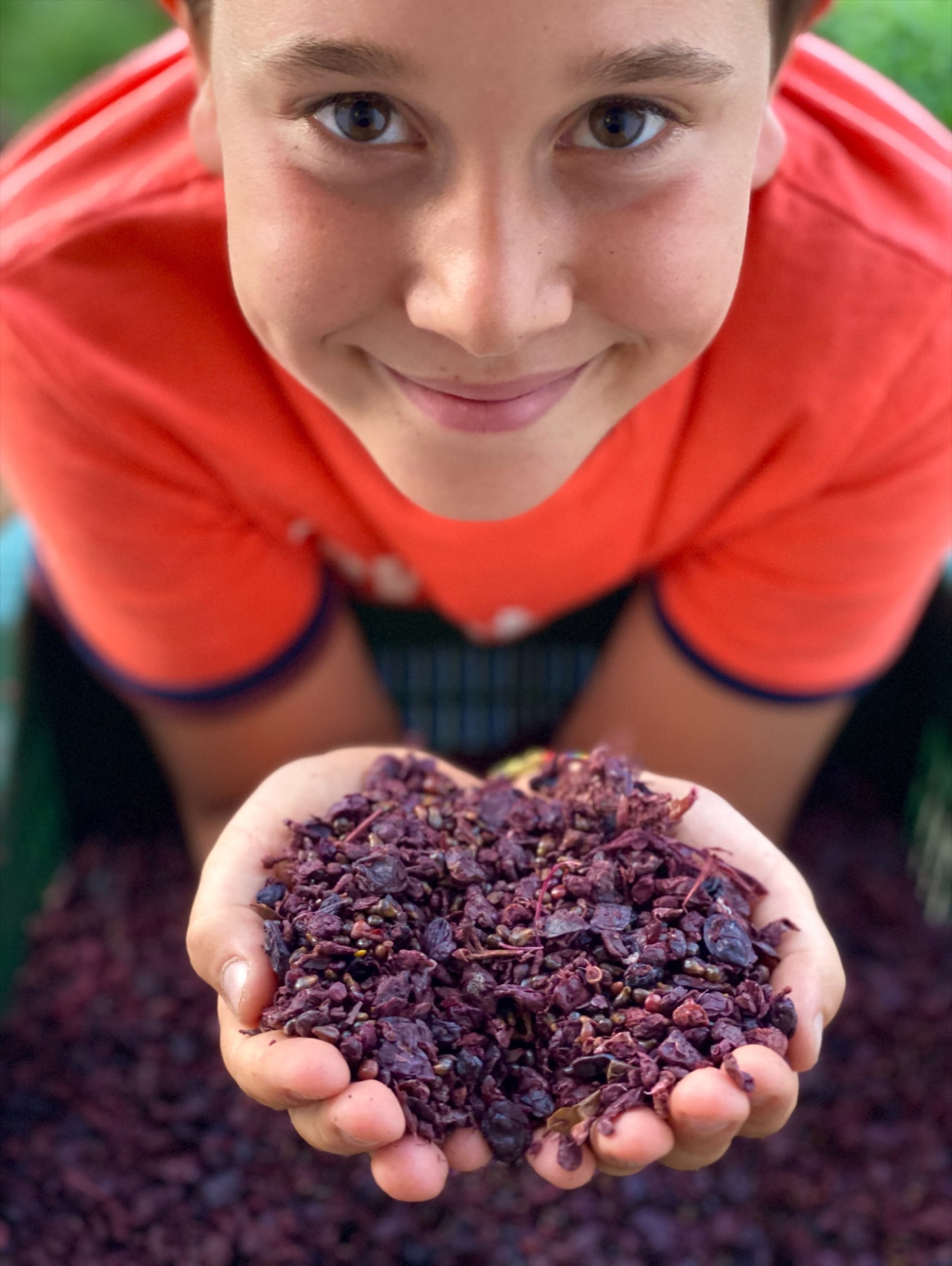 Olbia: visit to a Gallura winery with tasting - Photo 4