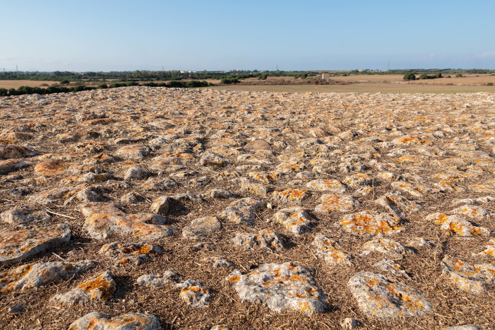 Porto Torres: archaeological tour in Monte d'Accoddi and Su Crucifissu Mannu - Photo 5