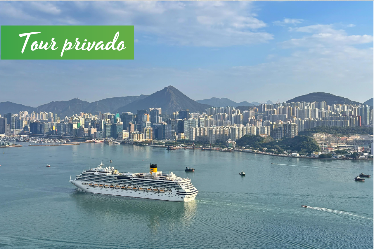 Cruise Layover Tour: Hong Kong Icons in Private Service - Accommodations in Hong Kong