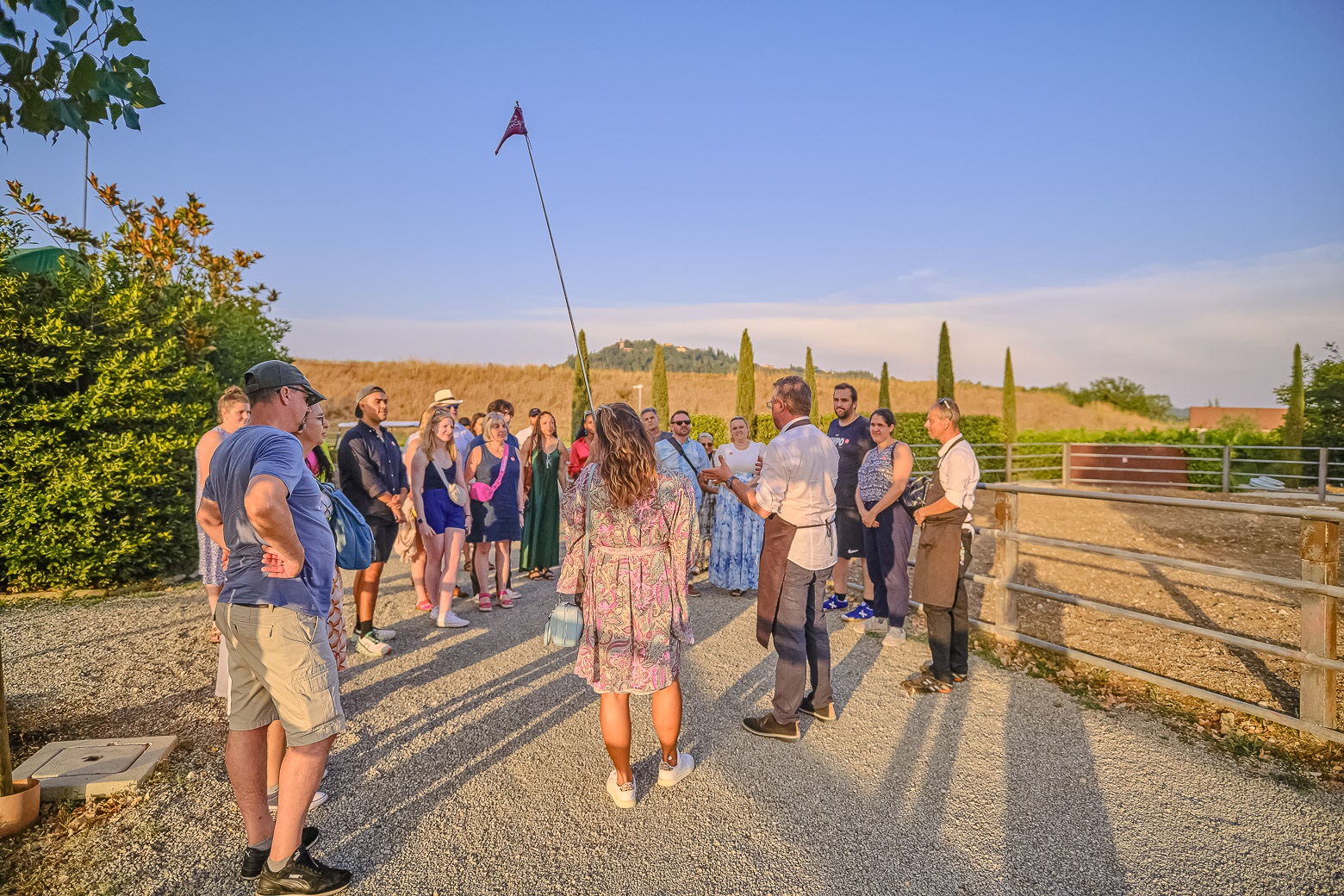 Small-Group Winery Tour with Tasting and Dinner in Chianti - Photo 9