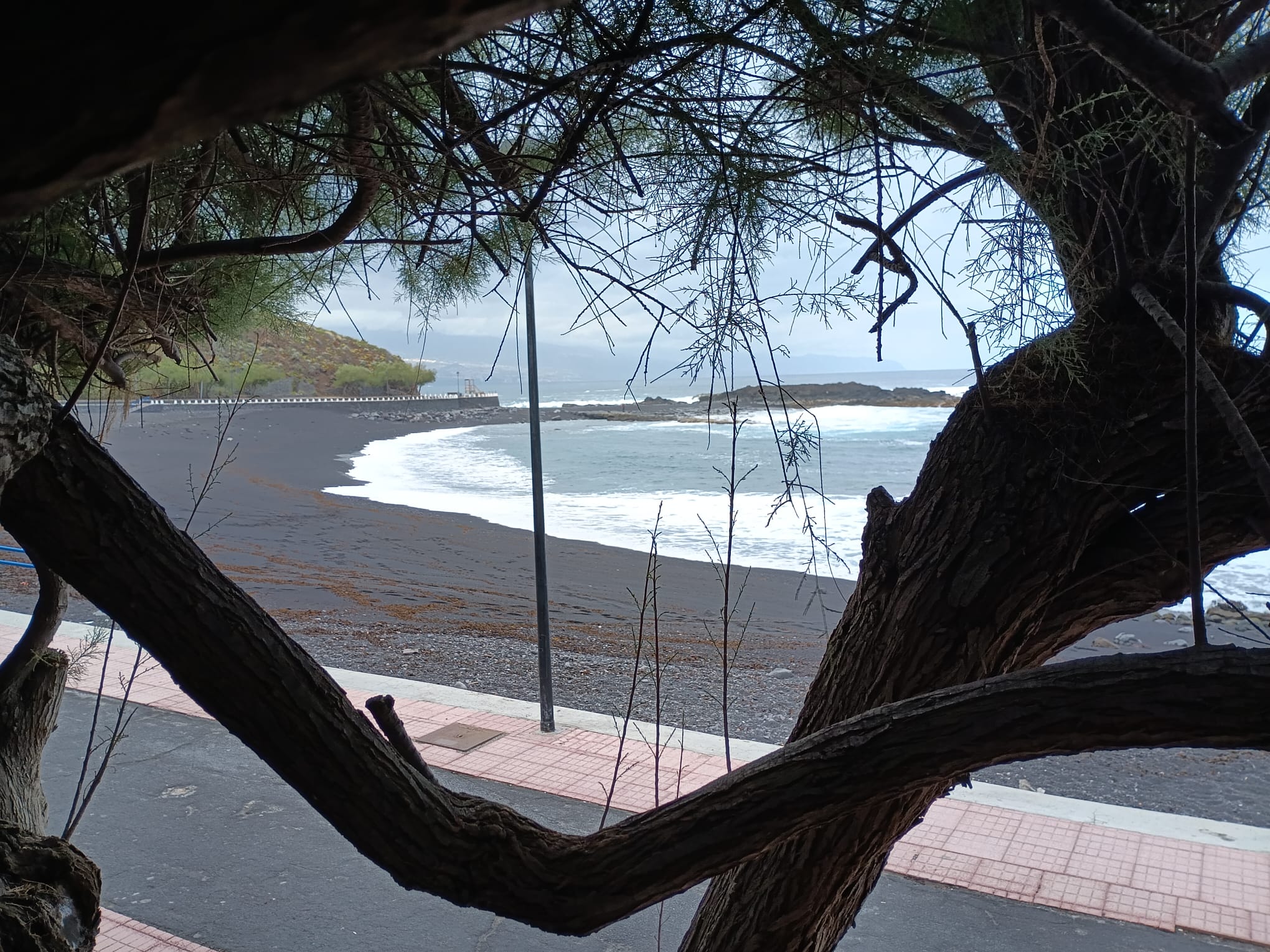 Excursion privada Paisajes y contrastes por la costa norte de Tenerife - Photo 11