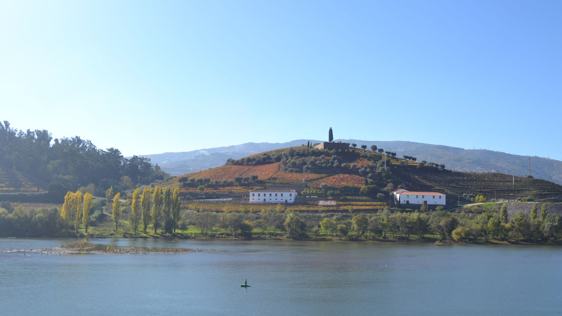 Douro Valley Small Group Tour with Wine Tastings, Lunch and River Cruise  - Photo 29