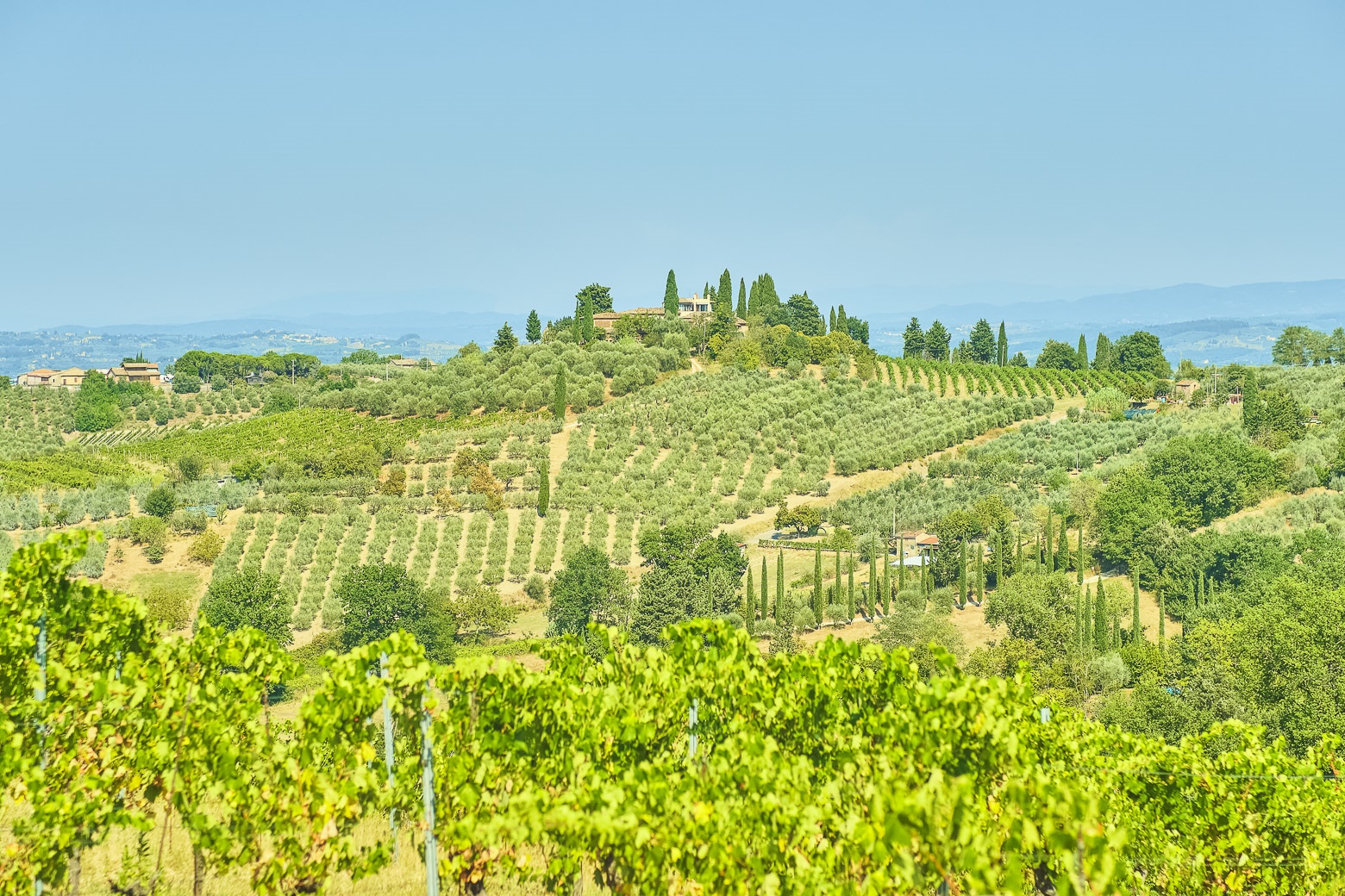 Tuscany Highlights Guided Small-Group Tour from Florence - Photo 49