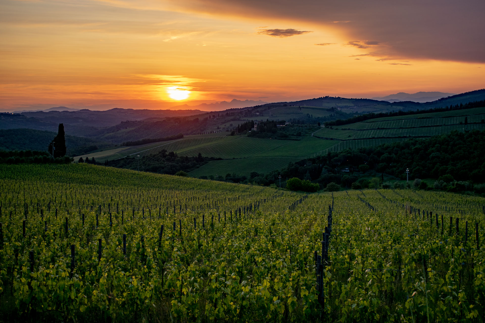 Tuscany Landscapes, Castels & Chianti Wine District - Photo 30