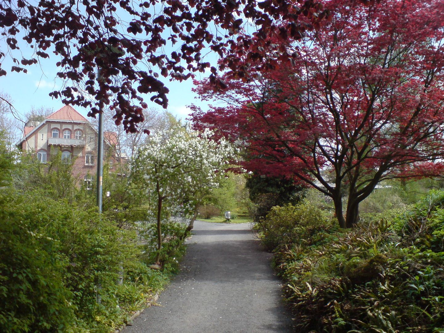 Goettingen: Nostalgia for Student Days with In-App Audio Tour