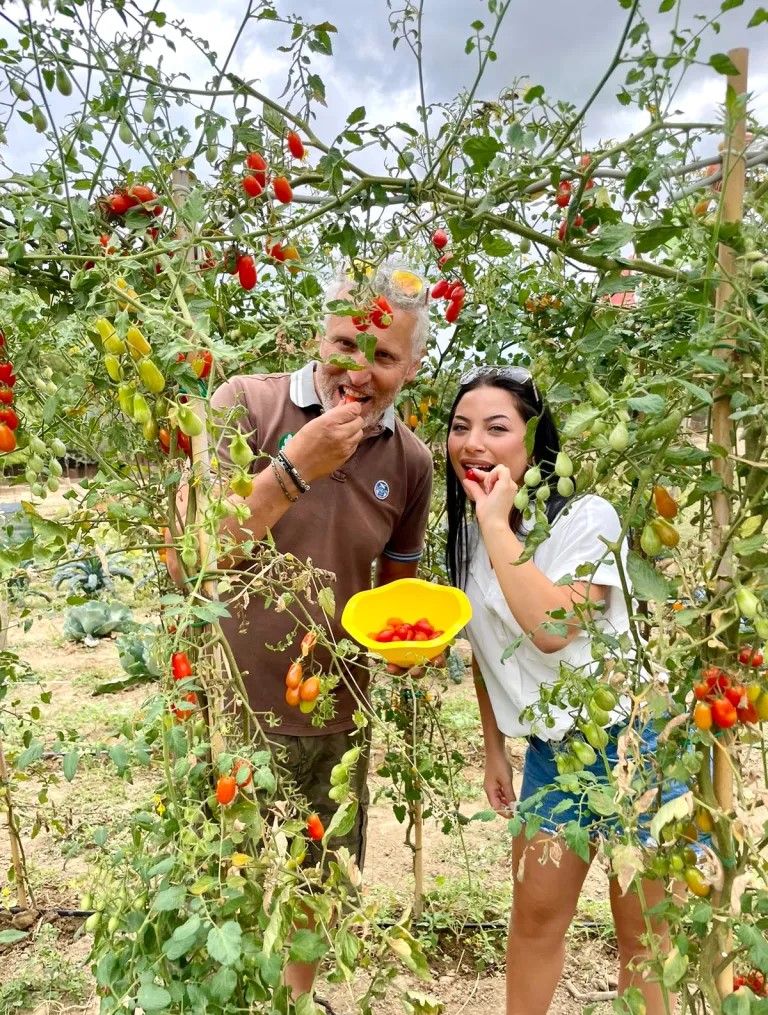 Cinta Senese Tour: discover an authentic Tuscan farmhouse - Photo 3